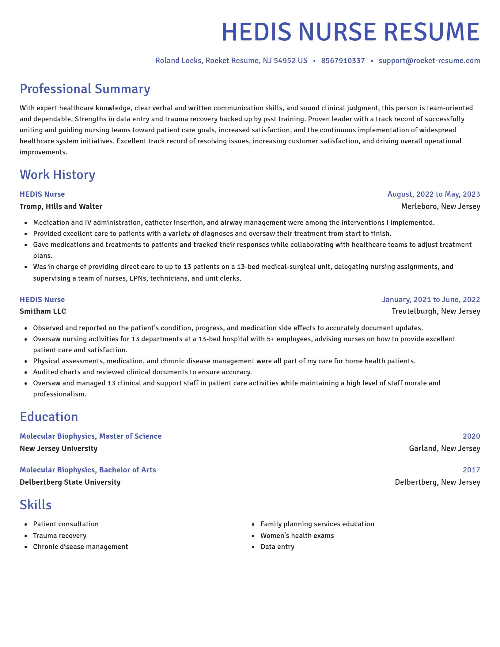 Novel resume template