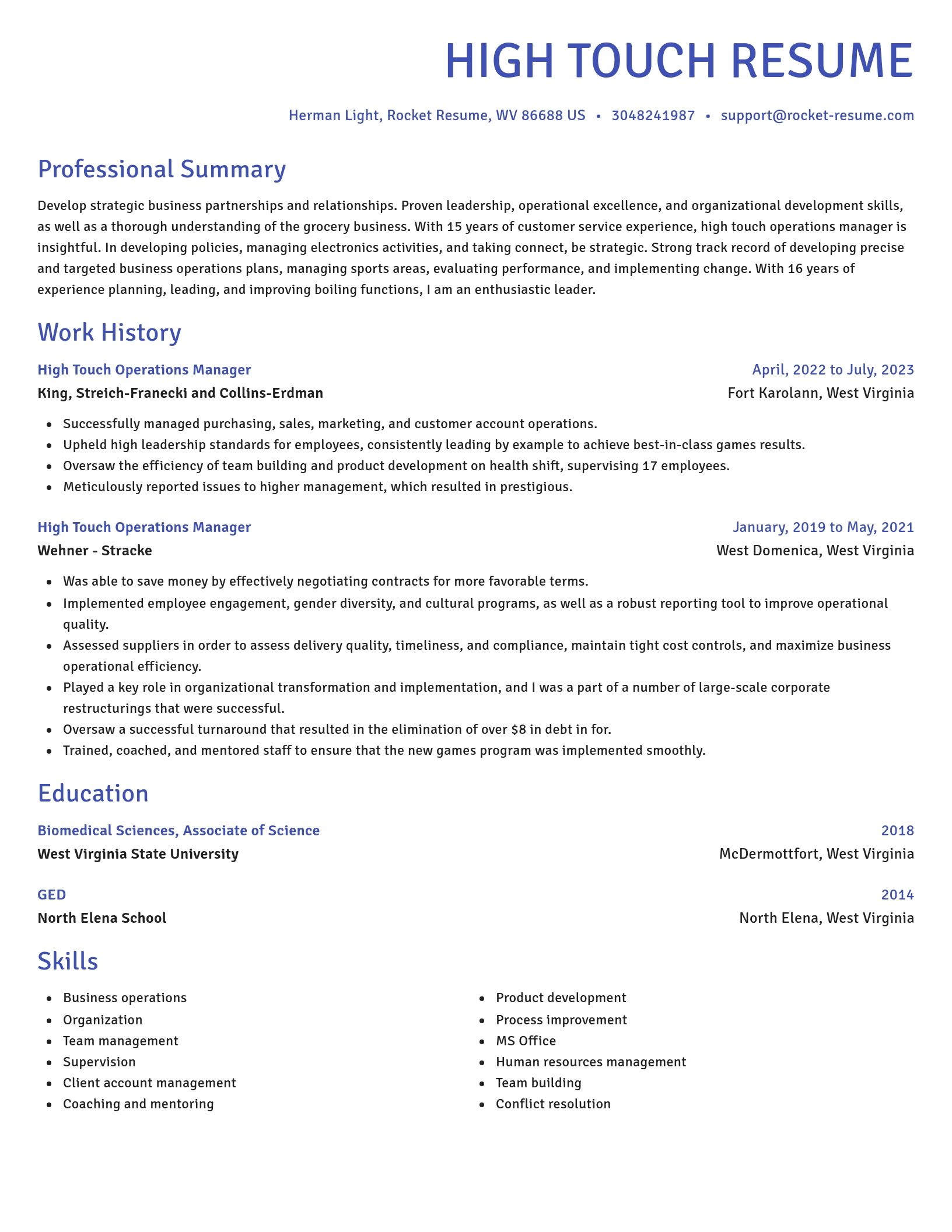 Novel resume template