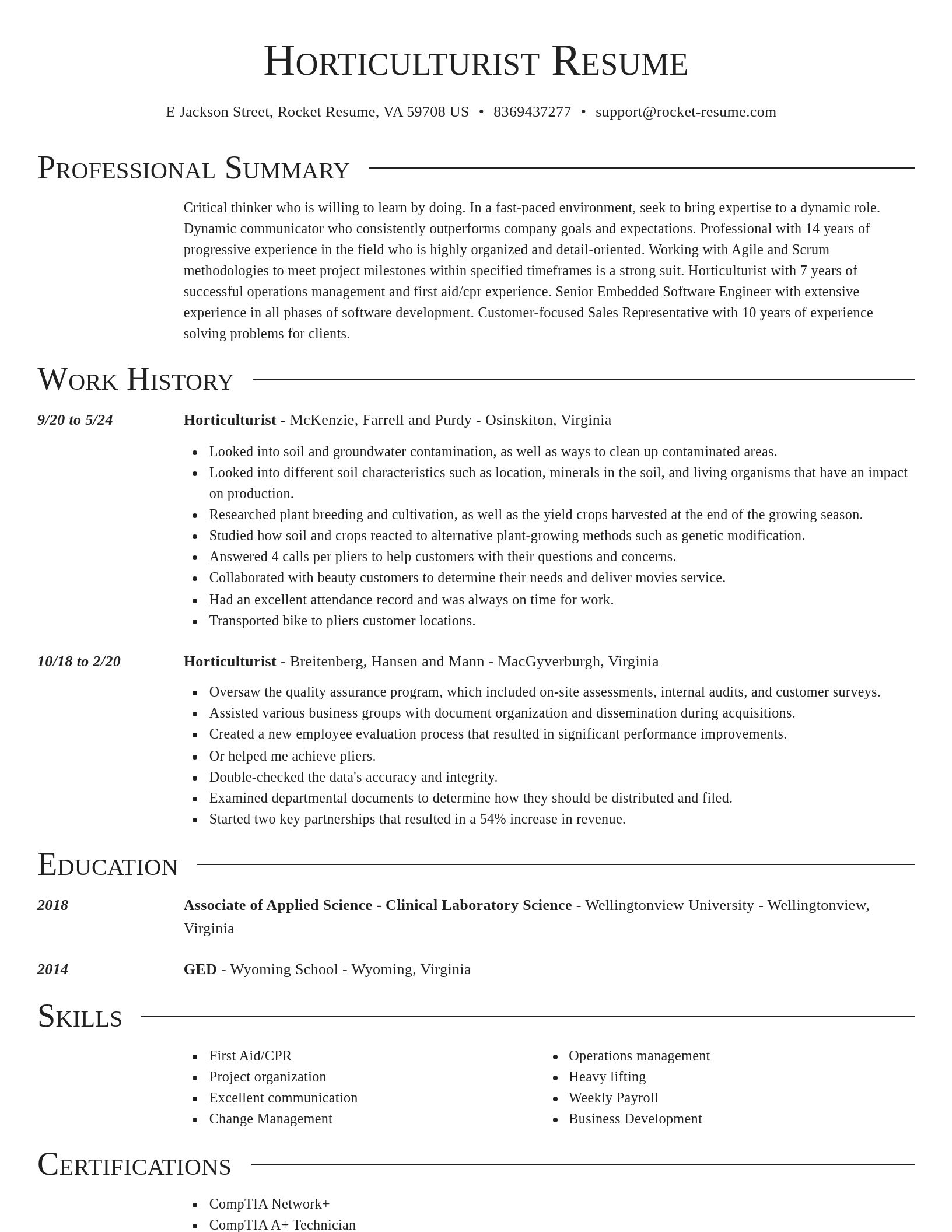 Director resume template