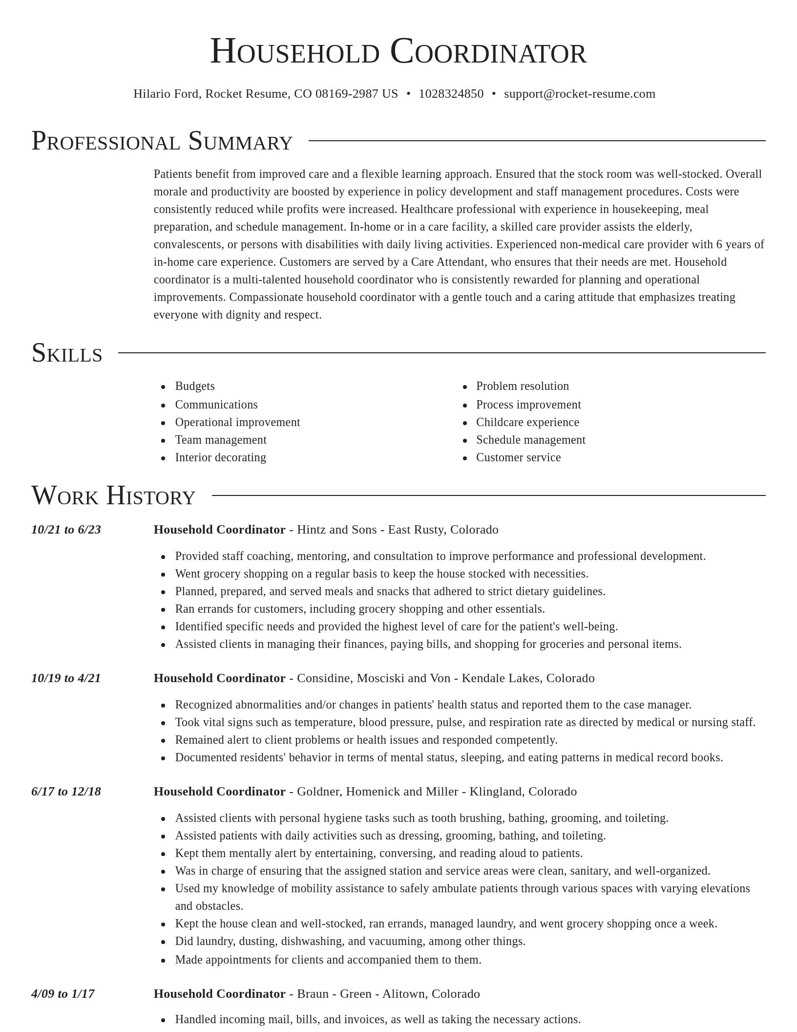 Director resume template