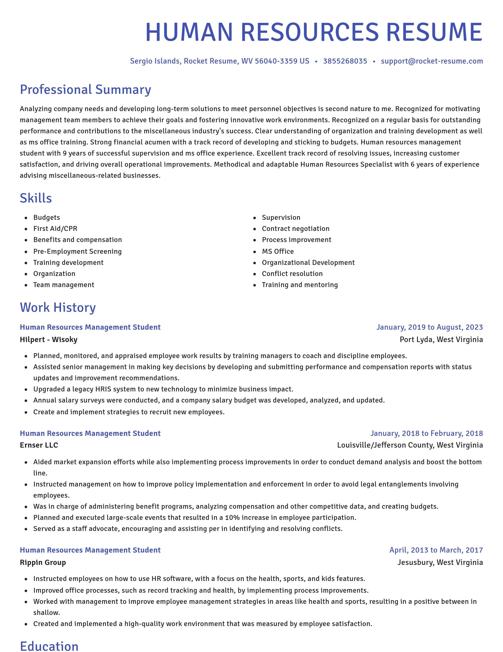 Novel resume template