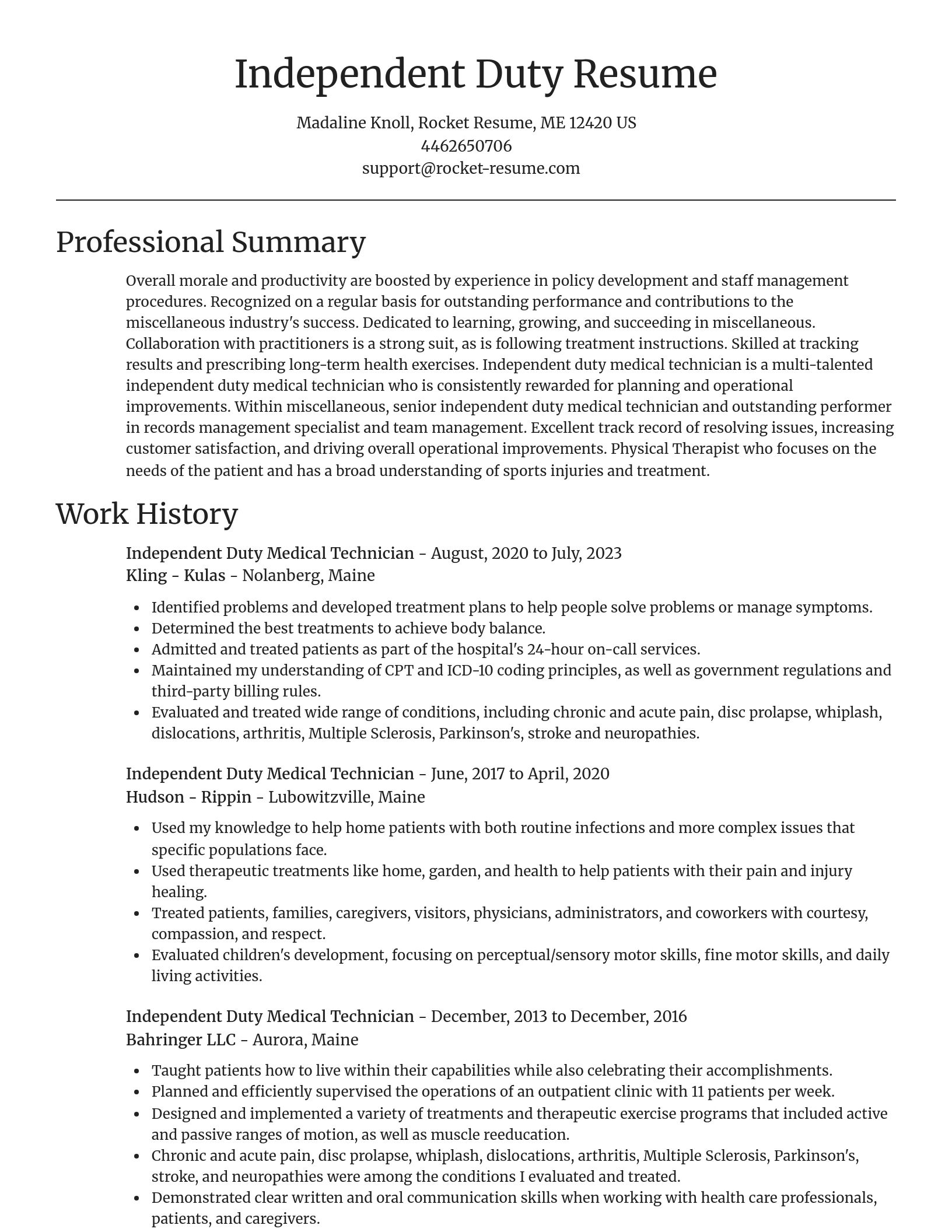 Focal Point resume template
