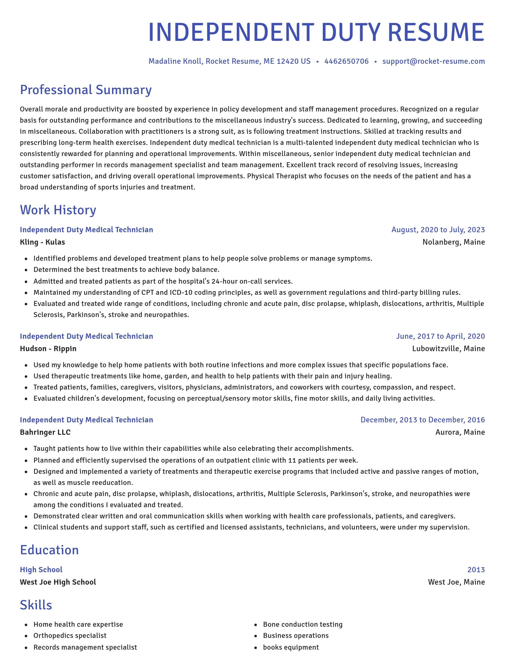 Novel resume template