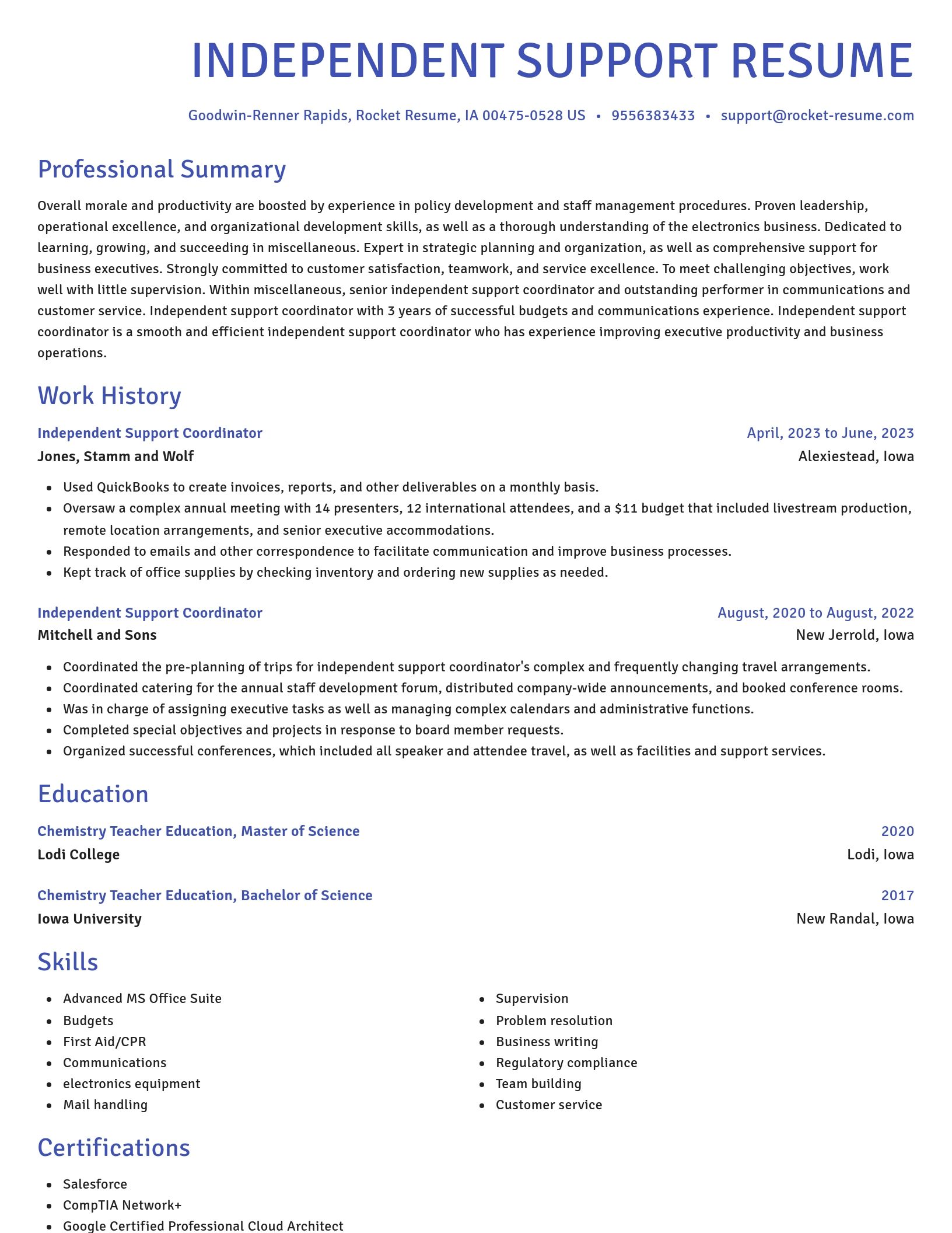 Novel resume template