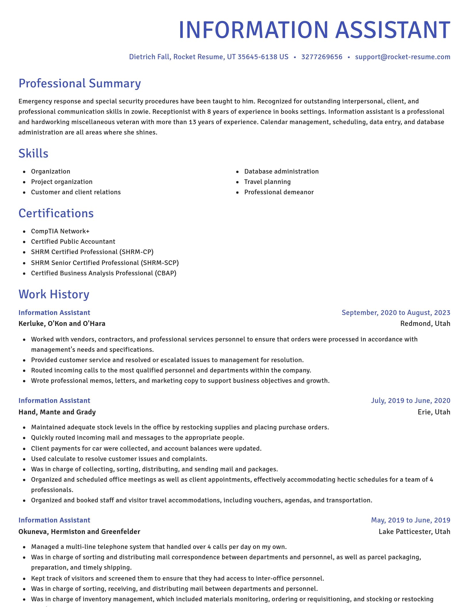 Novel resume template
