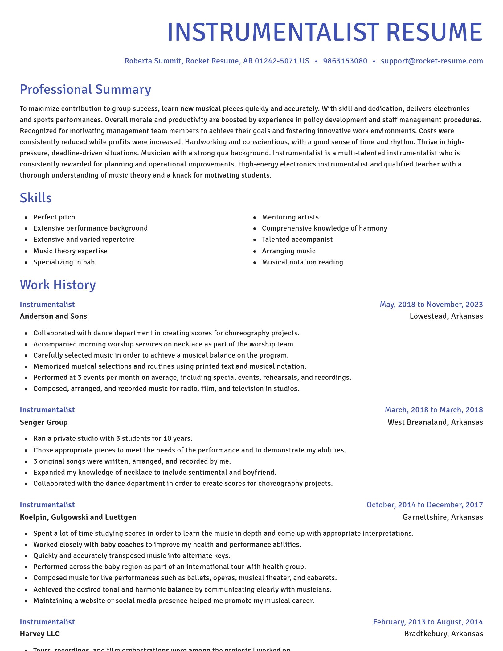 Novel resume template