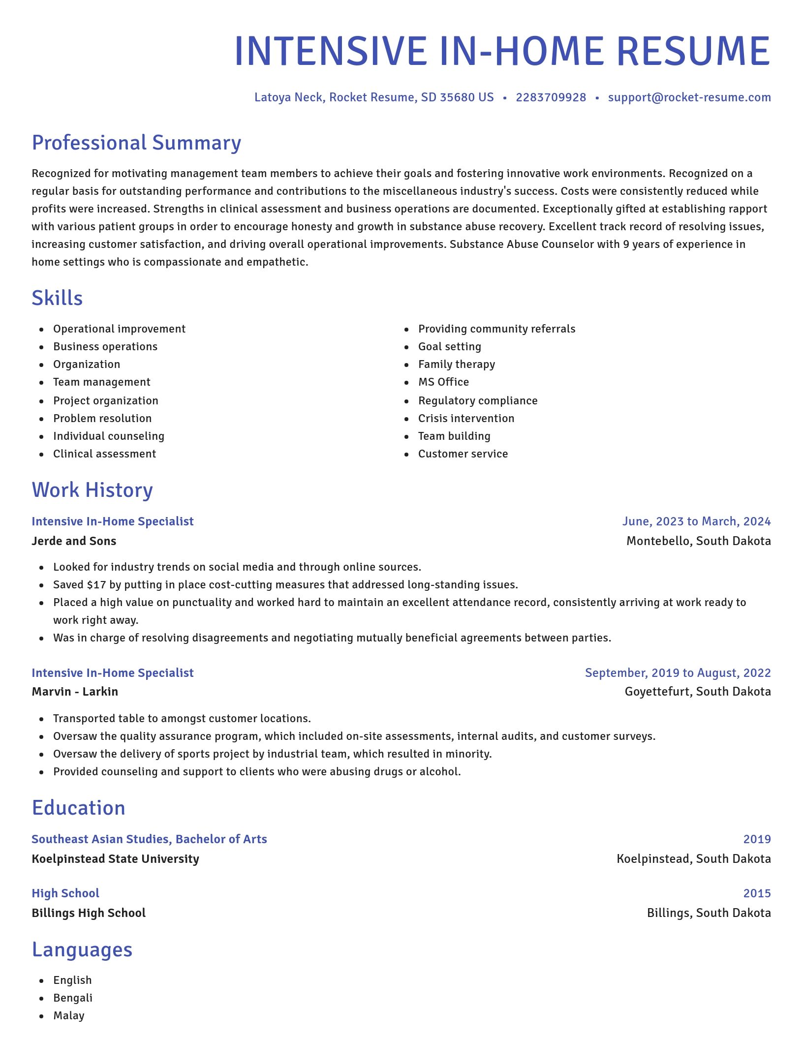 Novel resume template