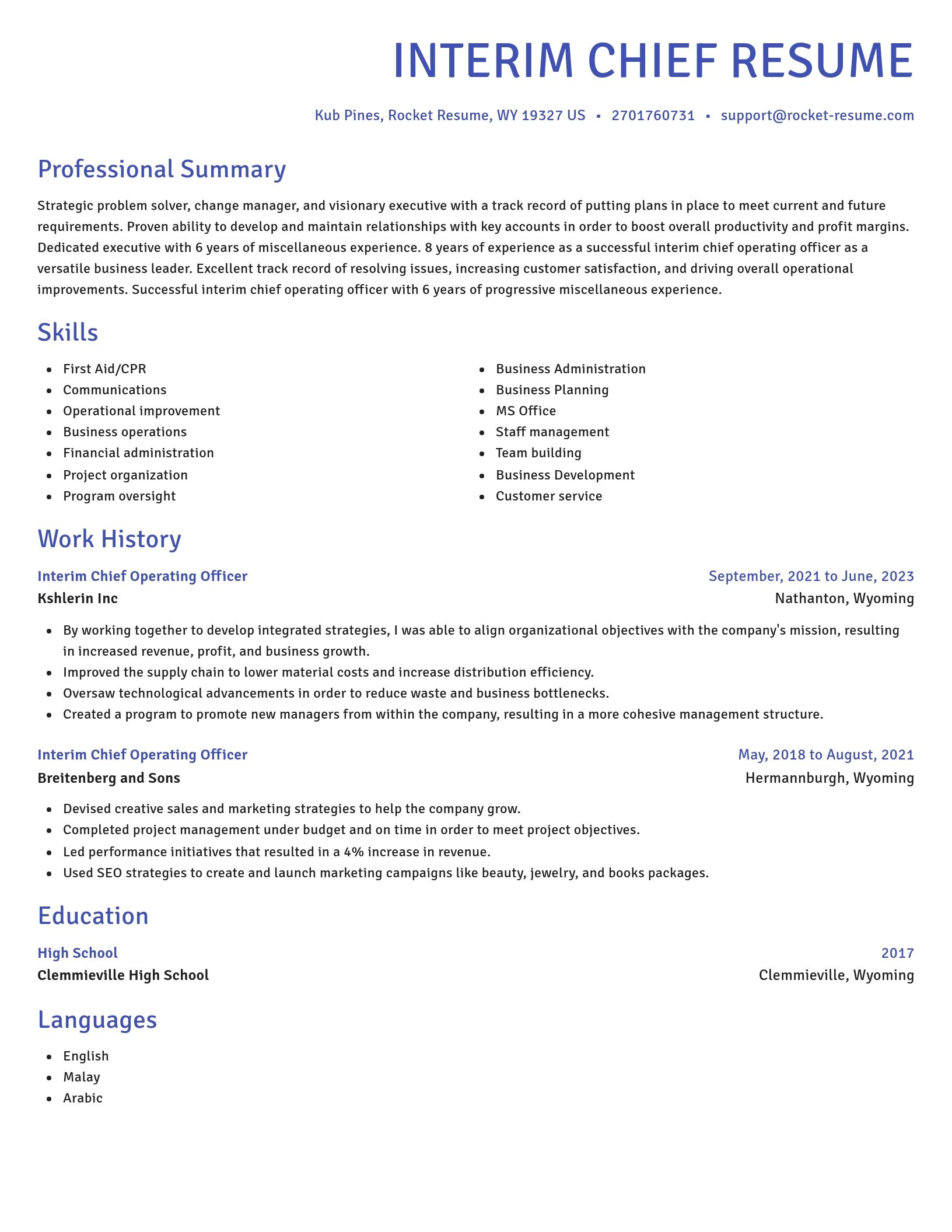 Novel resume template