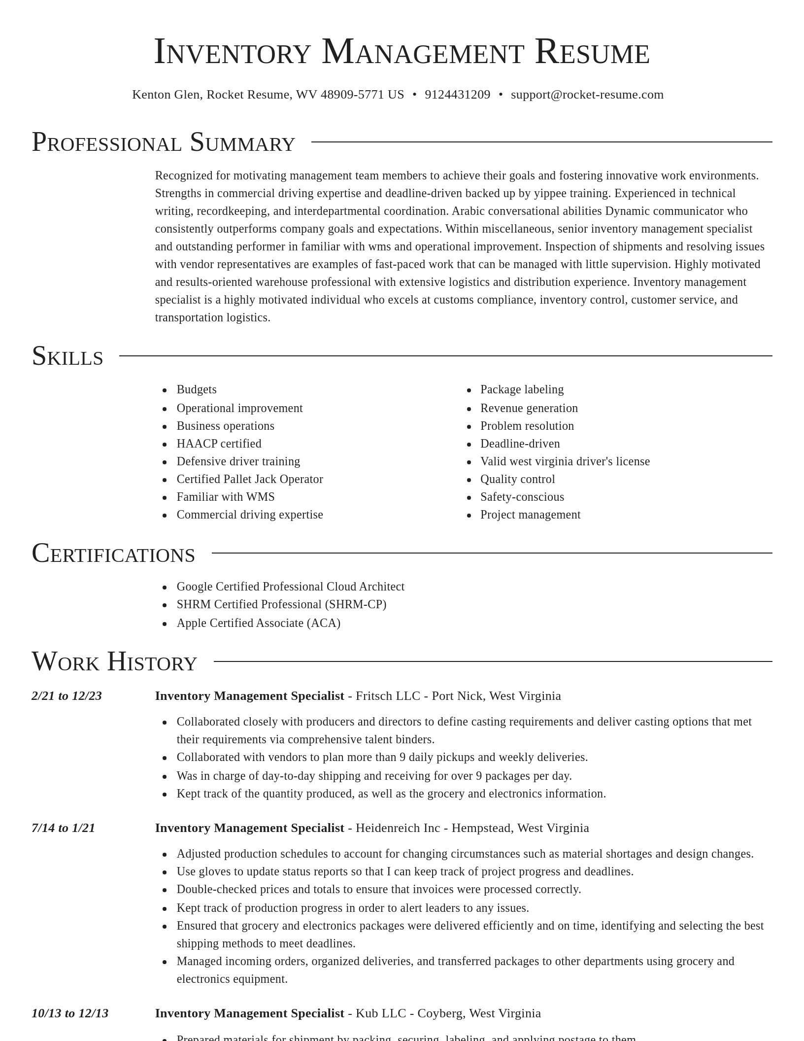 Director resume template