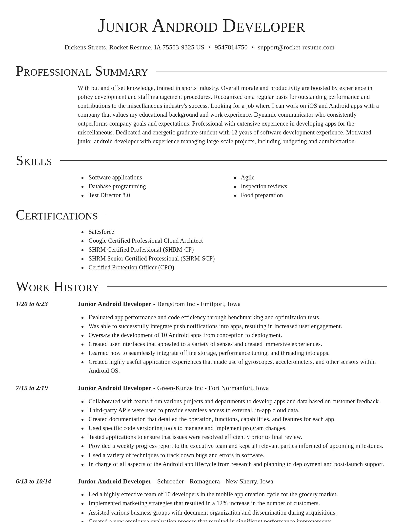 Director resume template