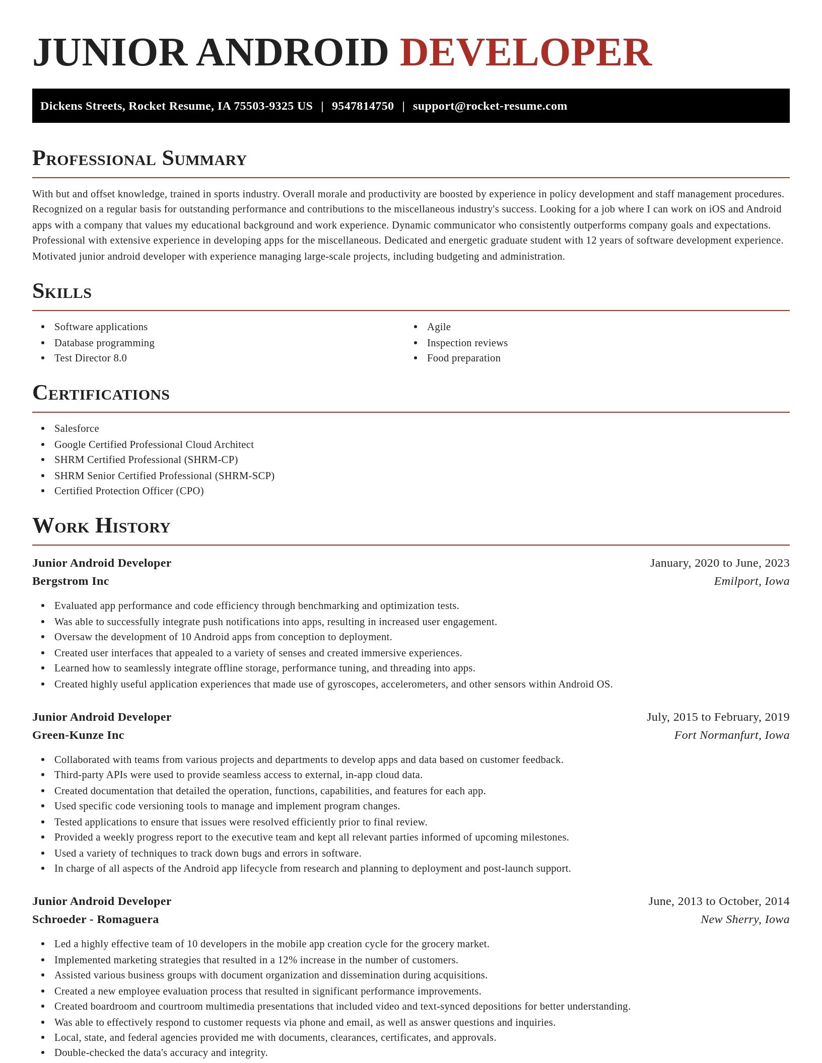 Exquisite resume template