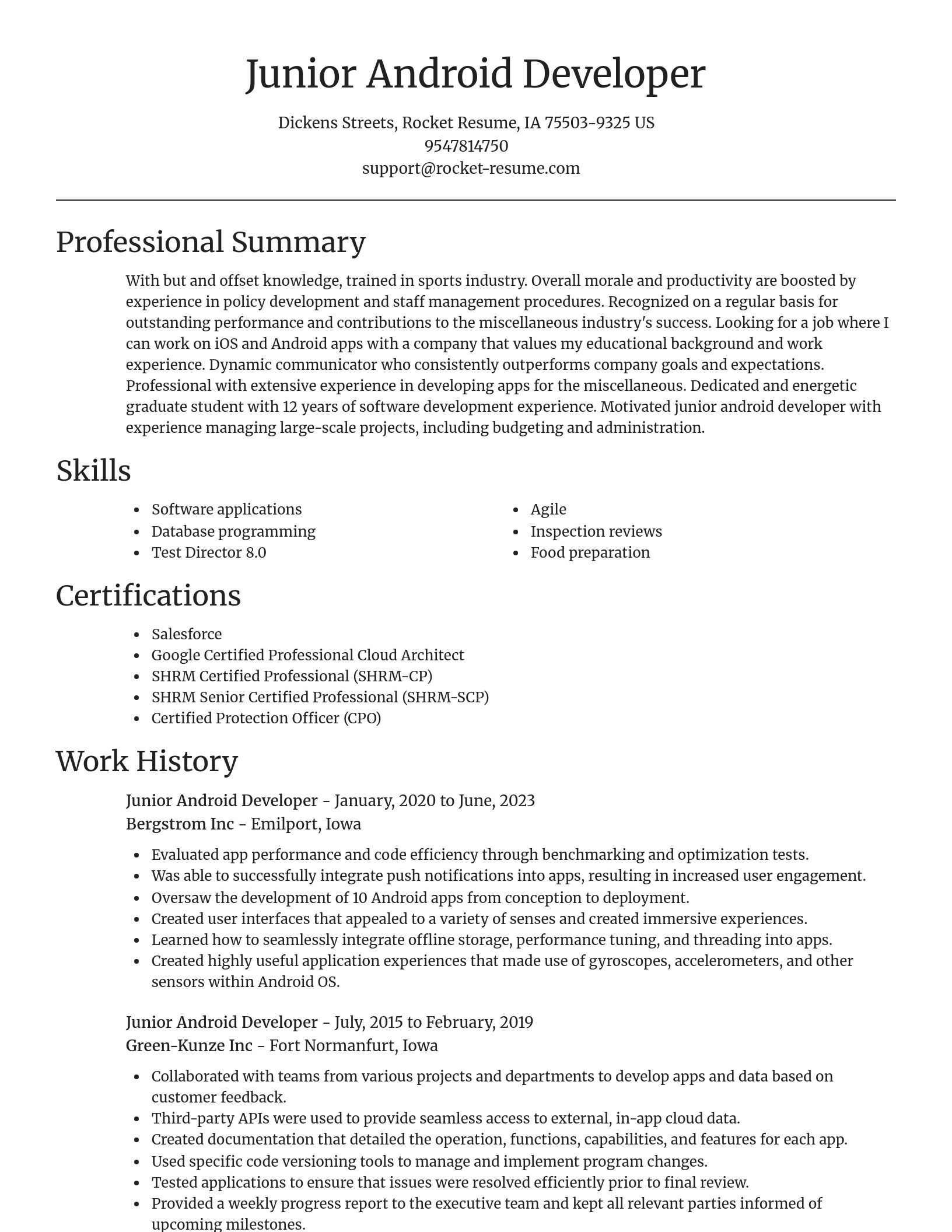 Focal Point resume template