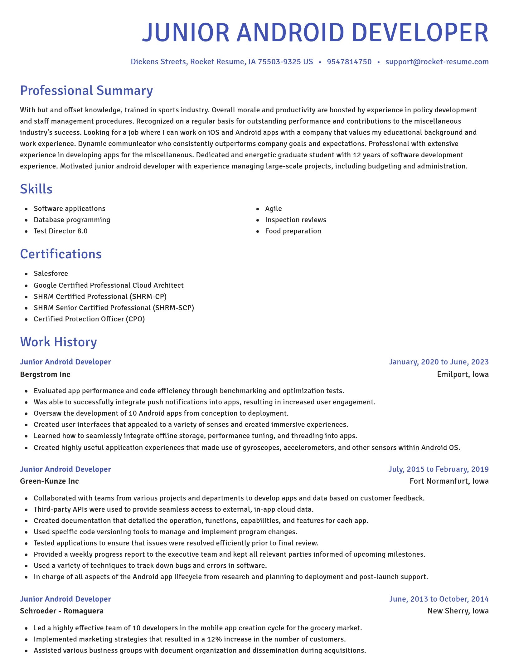 Novel resume template