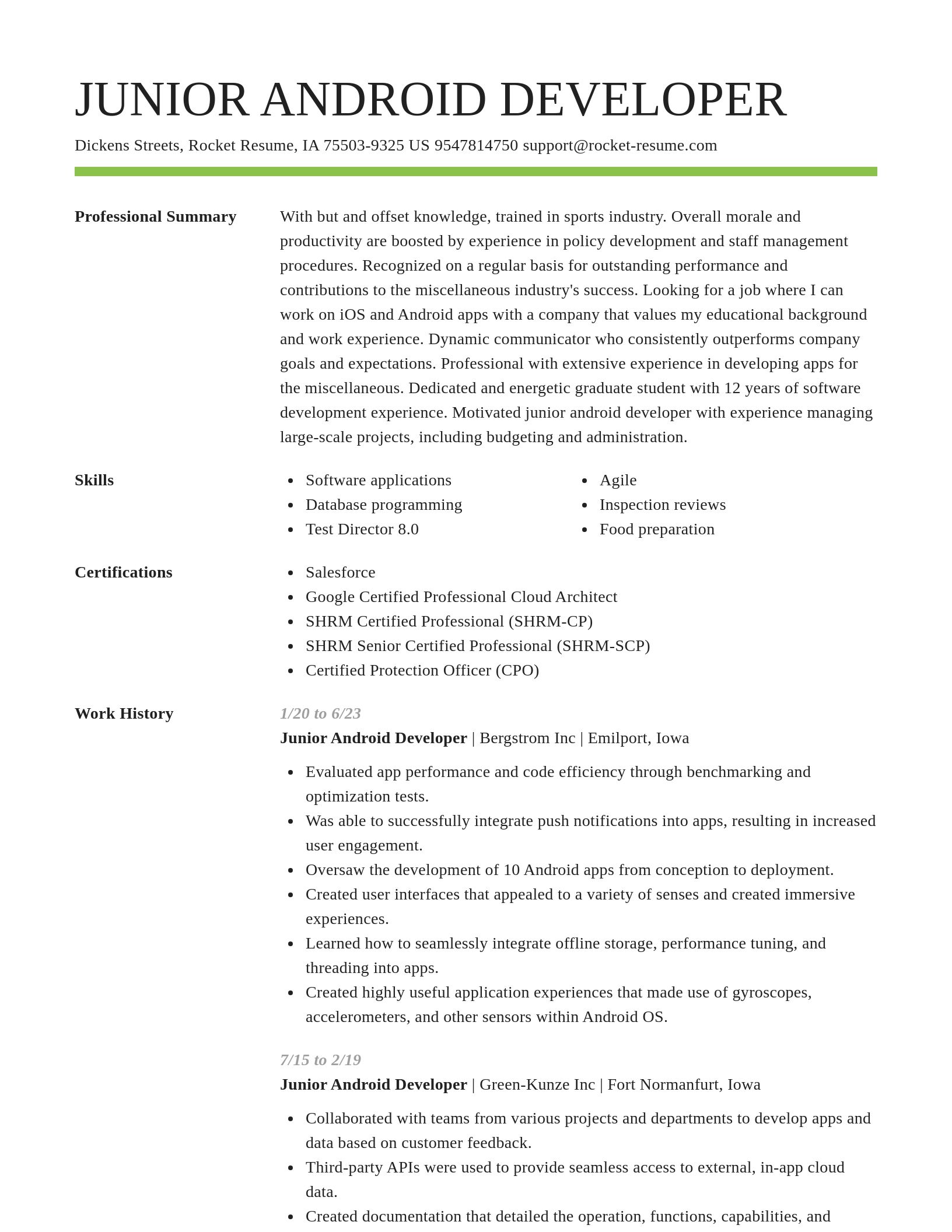 Smart resume template