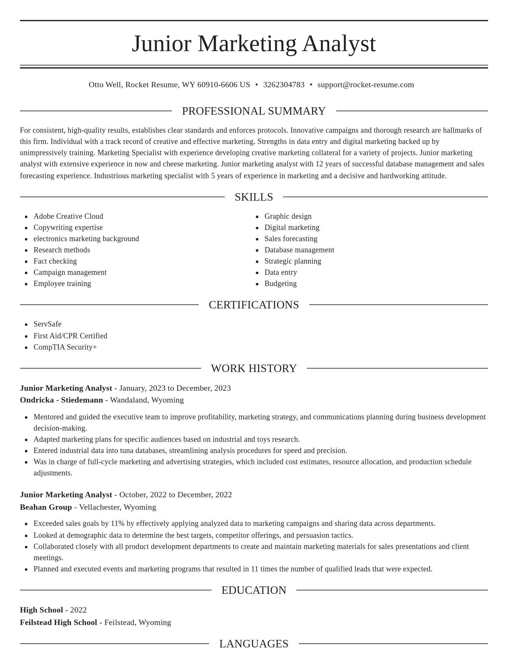 Elegant resume template