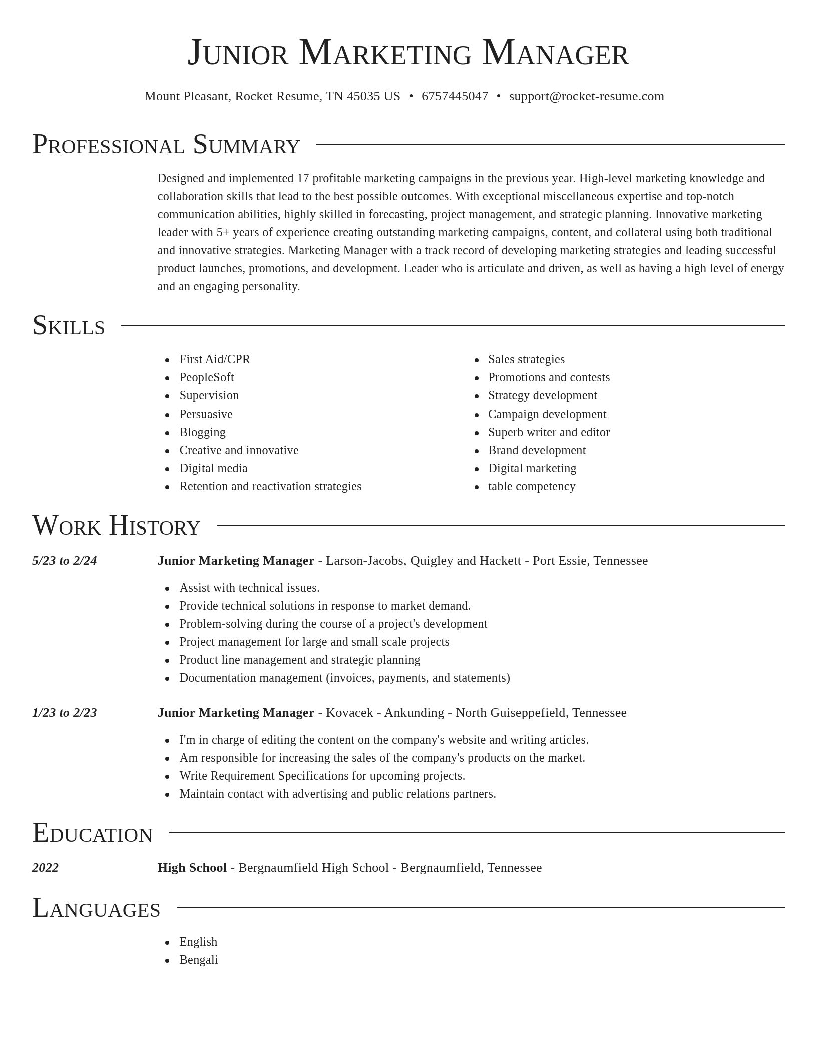 Director resume template