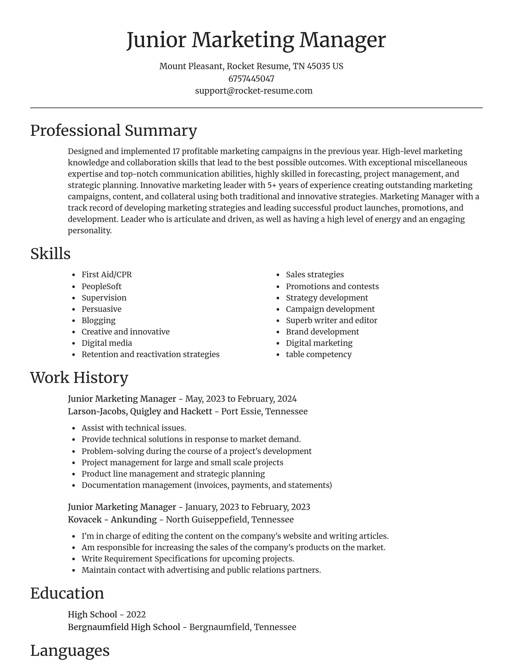 Focal Point resume template