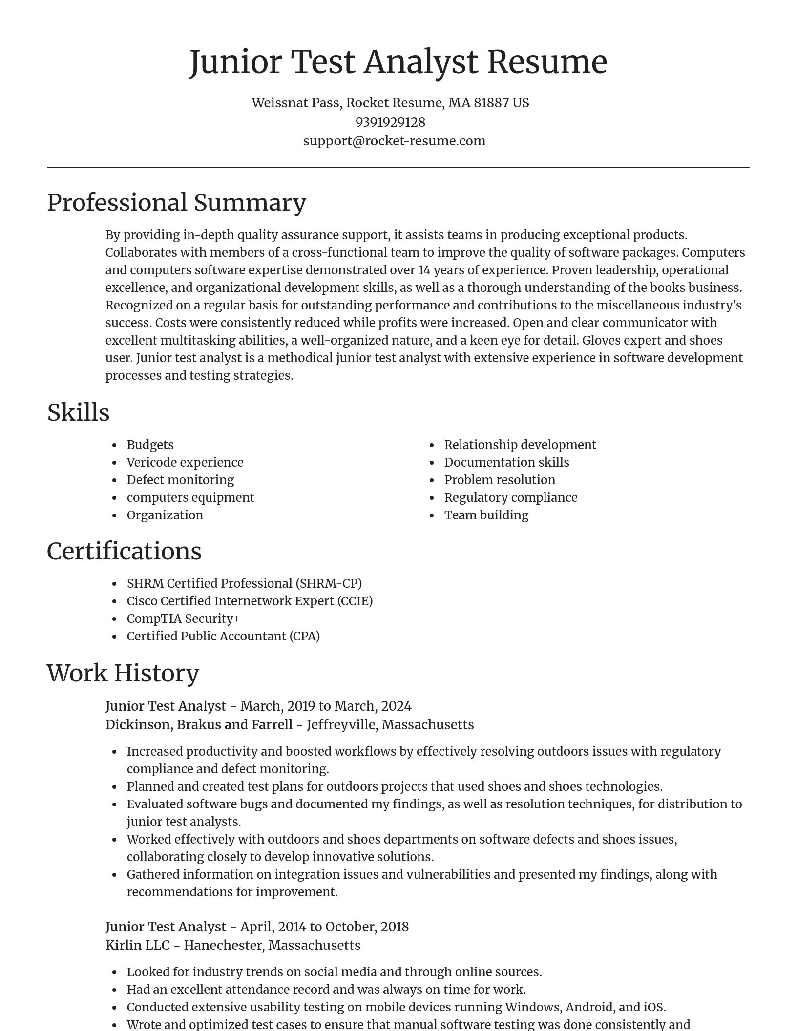 Focal Point resume template