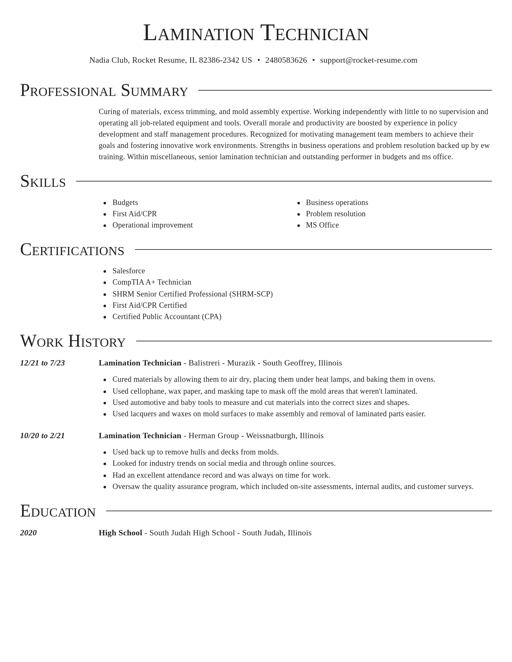 Director resume template