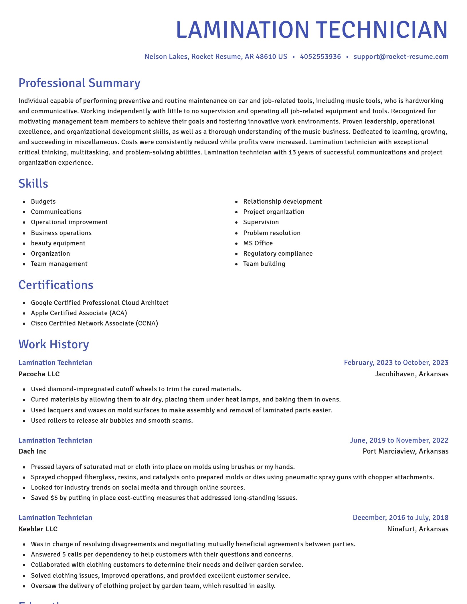 Novel resume template