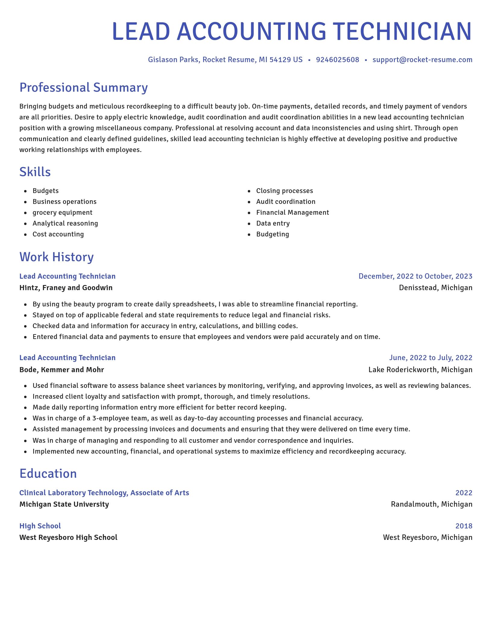 Novel resume template