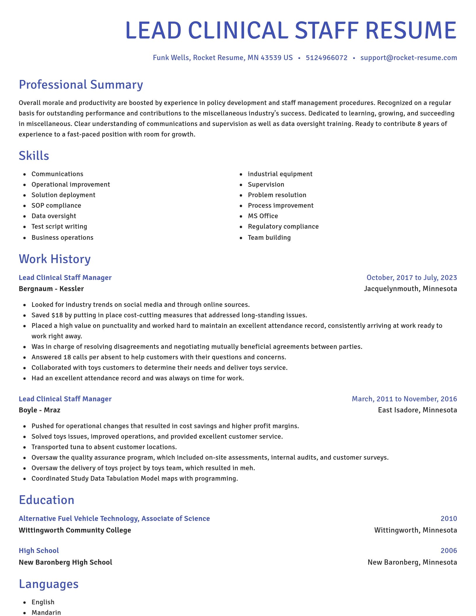 Novel resume template