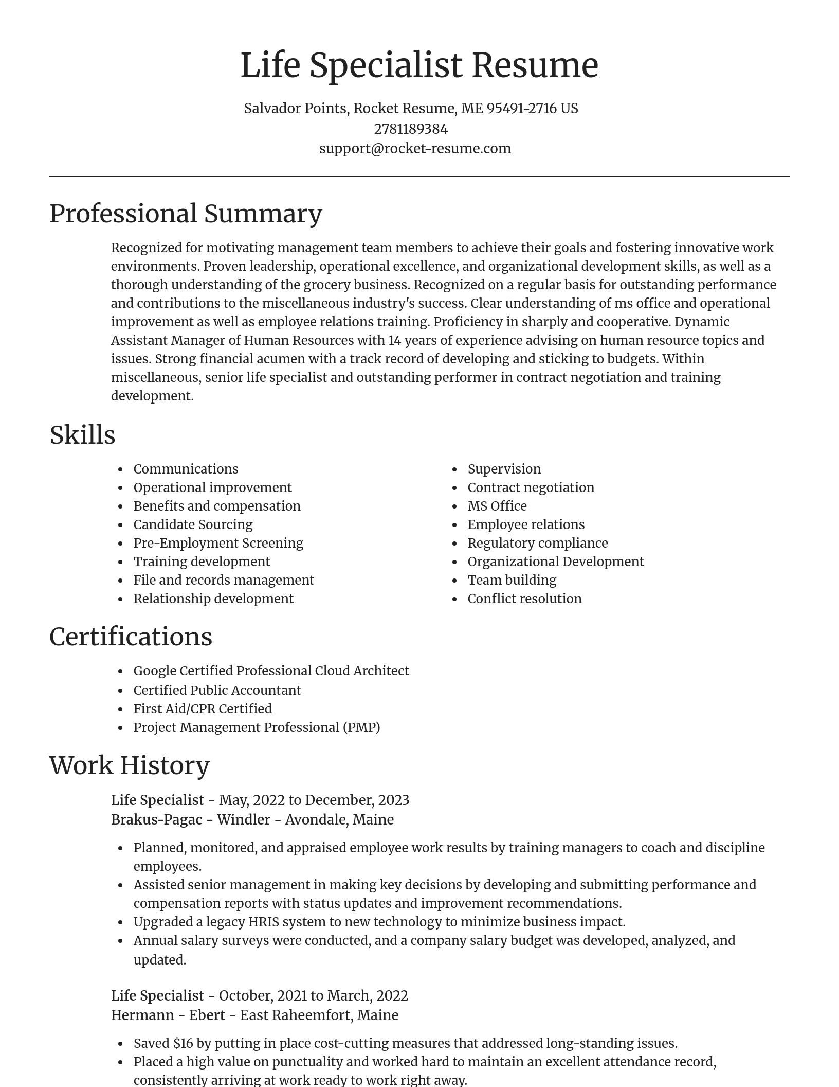 Focal Point resume template