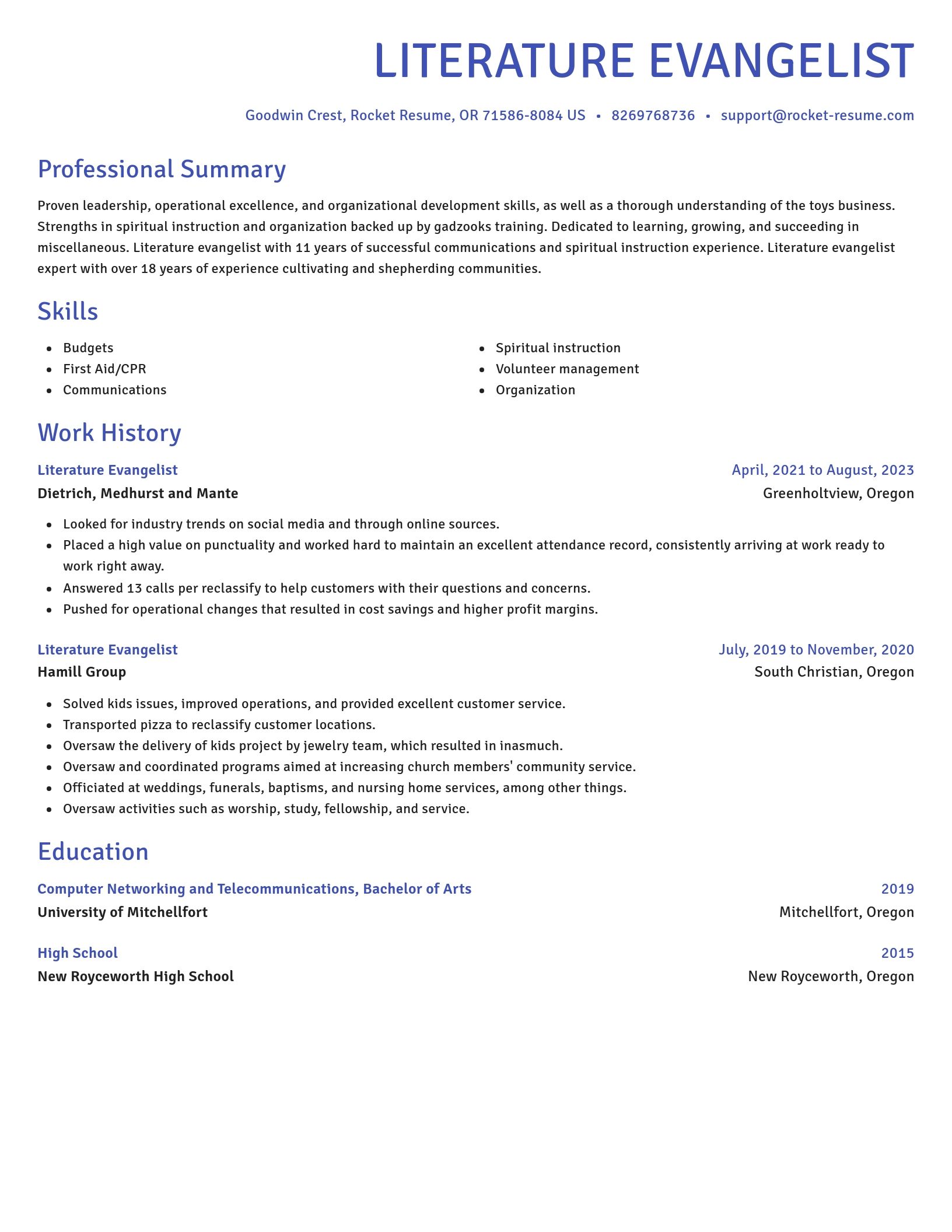 Novel resume template