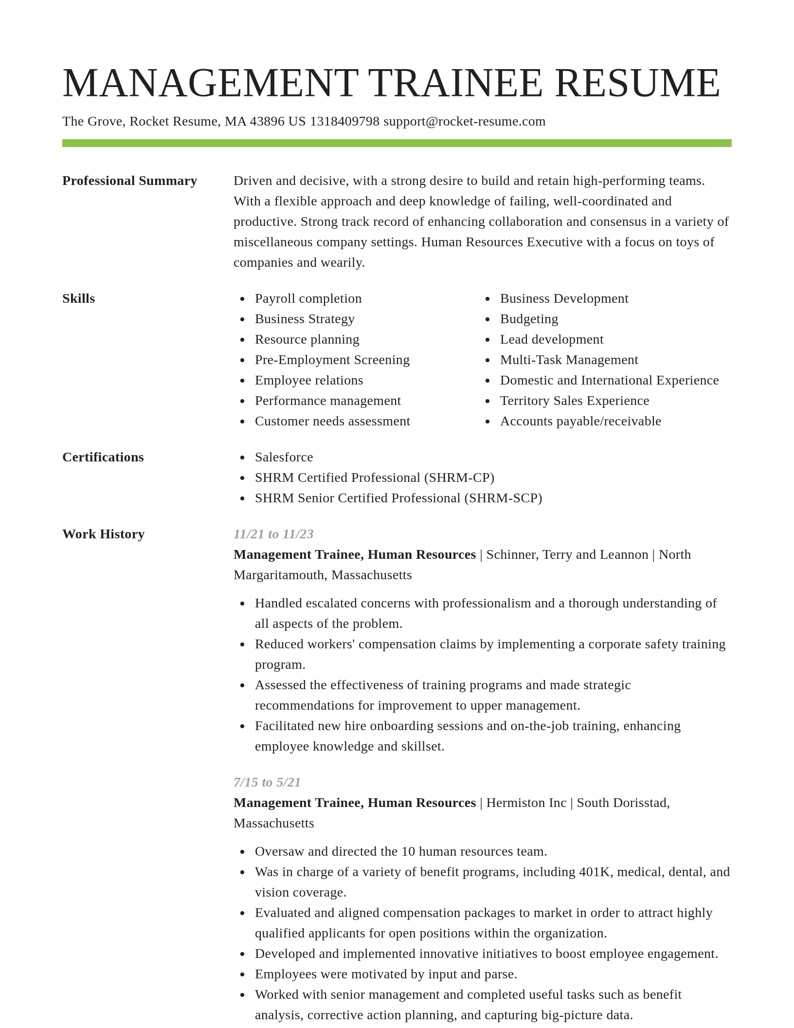 Smart resume template
