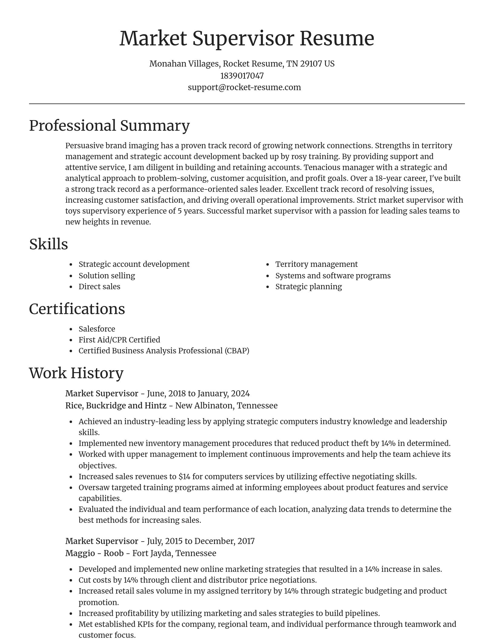 Focal Point resume template