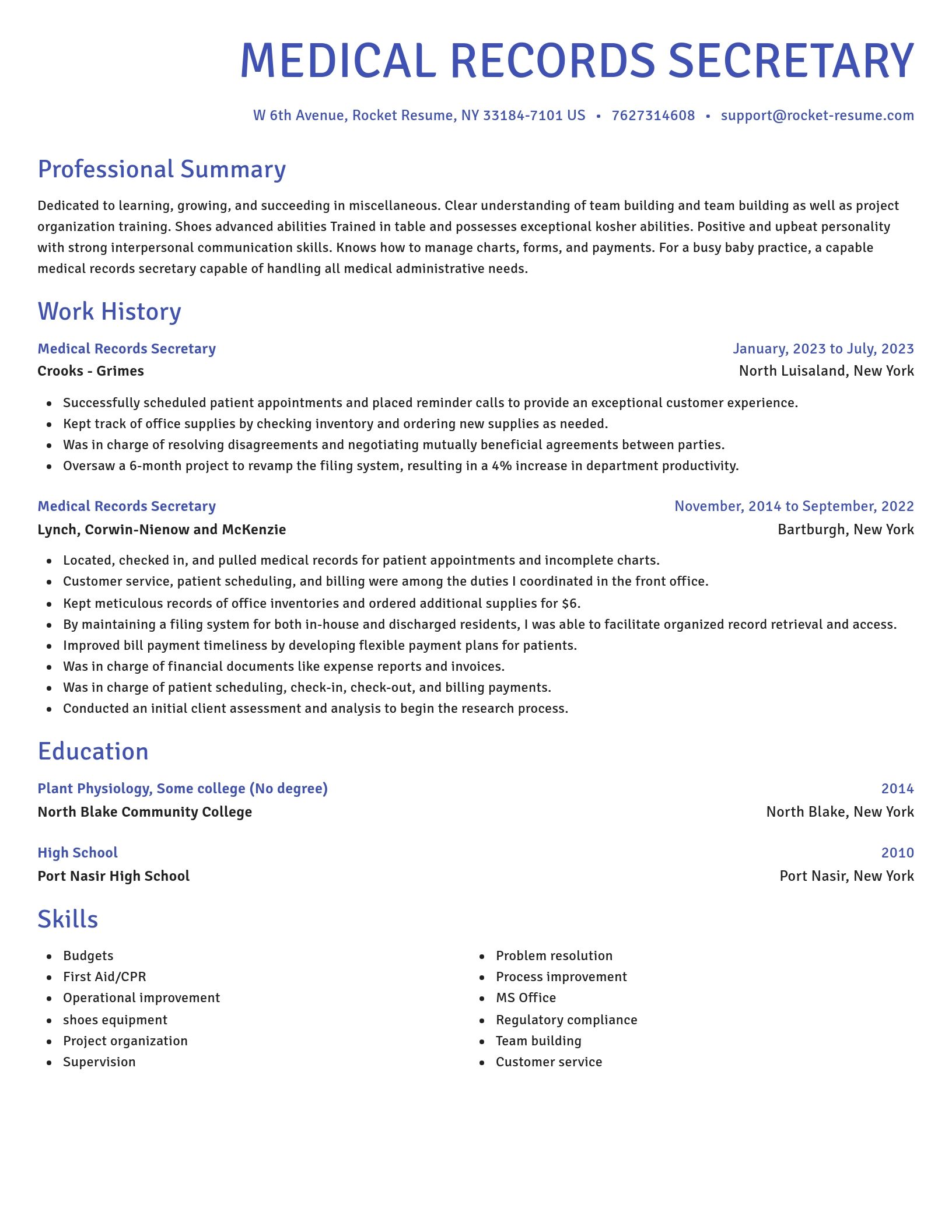 Novel resume template