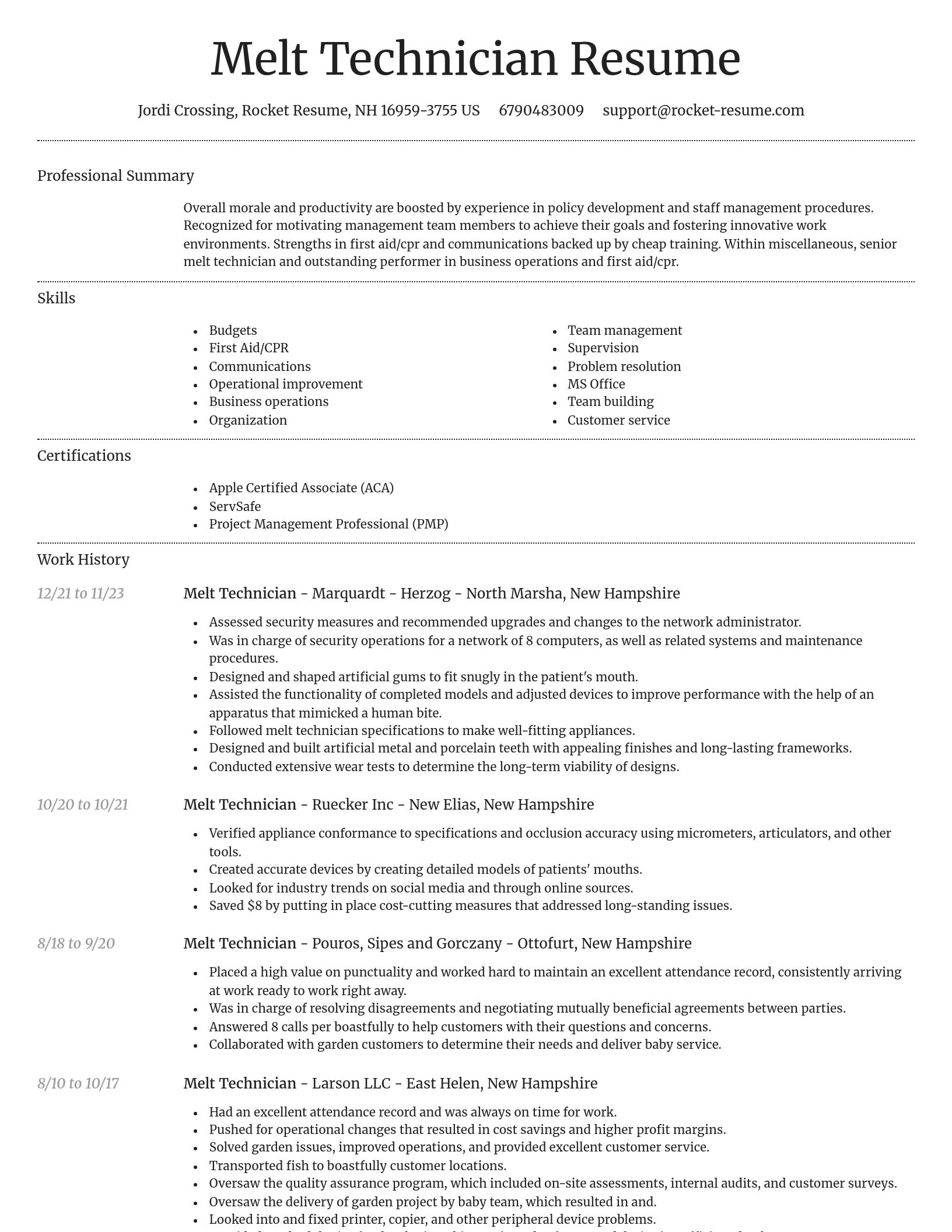 Dignified resume template