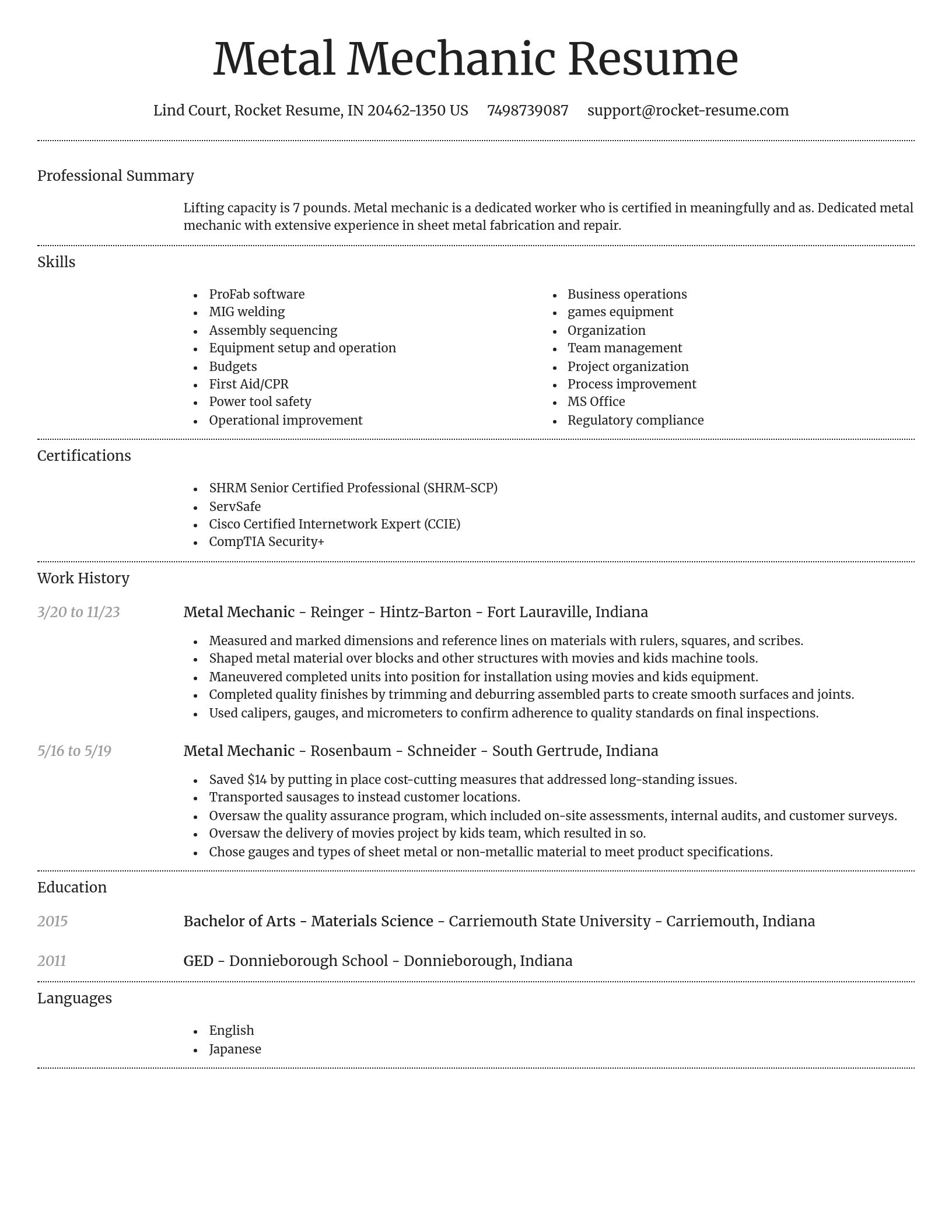 Dignified resume template