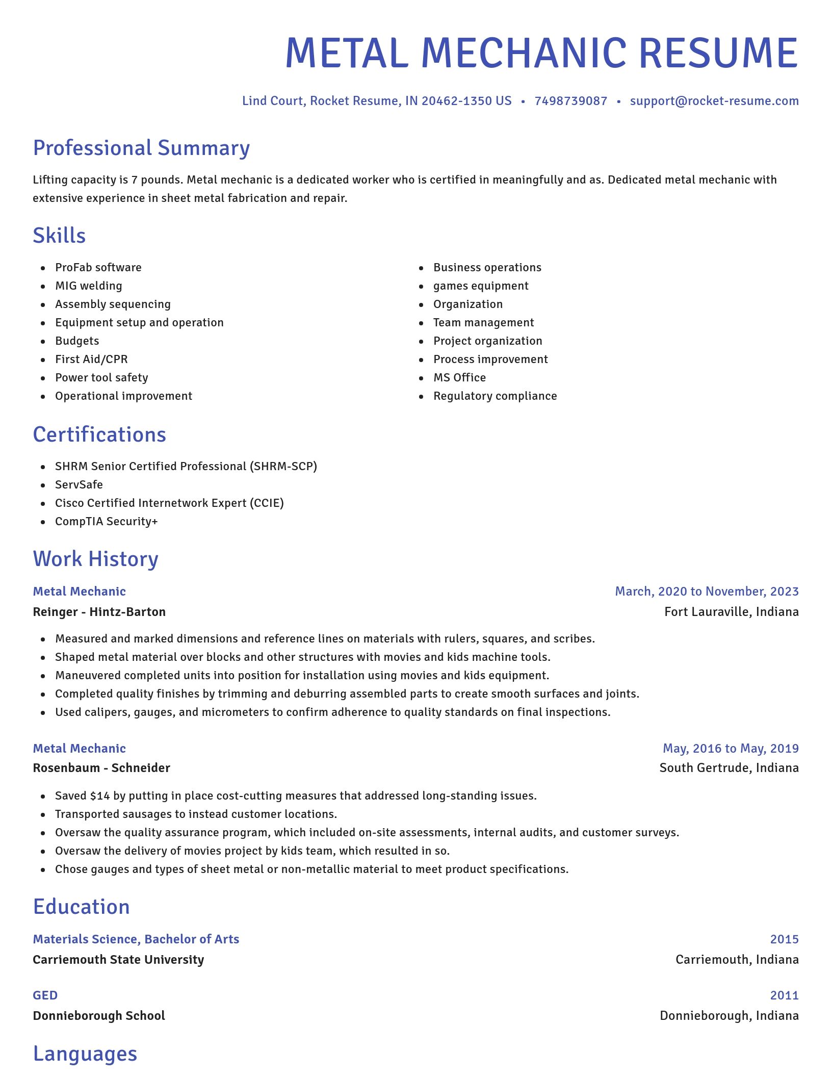 Novel resume template