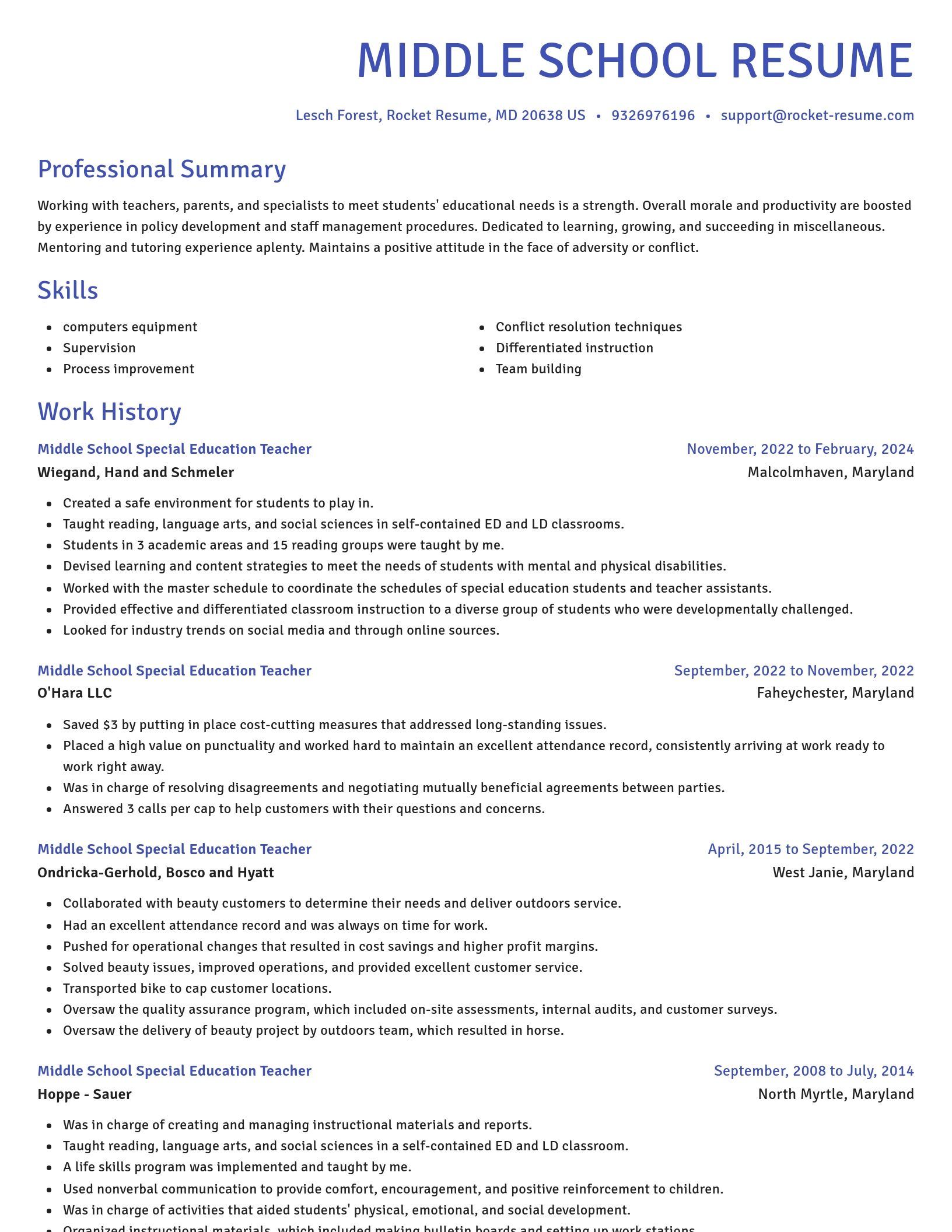 Novel resume template