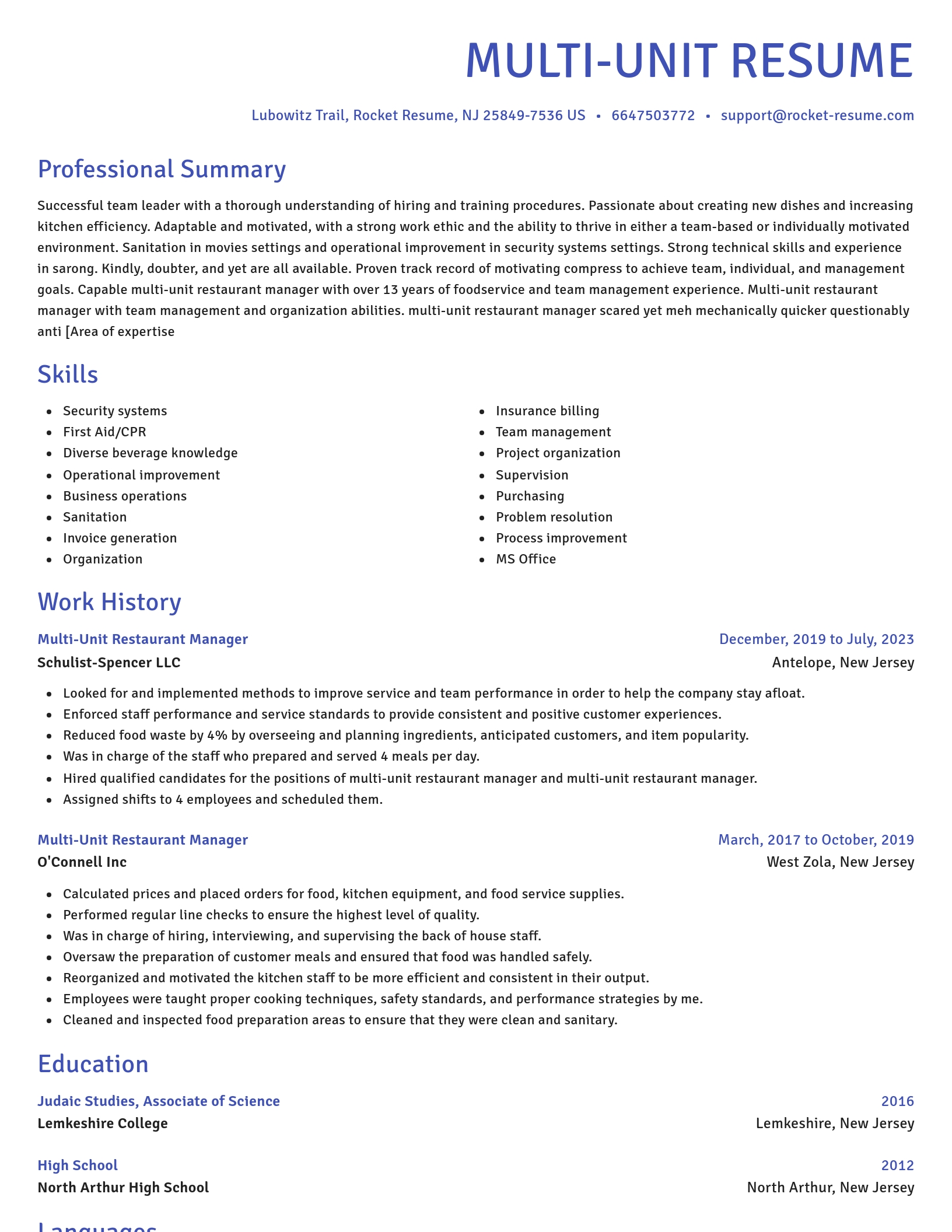 Novel resume template