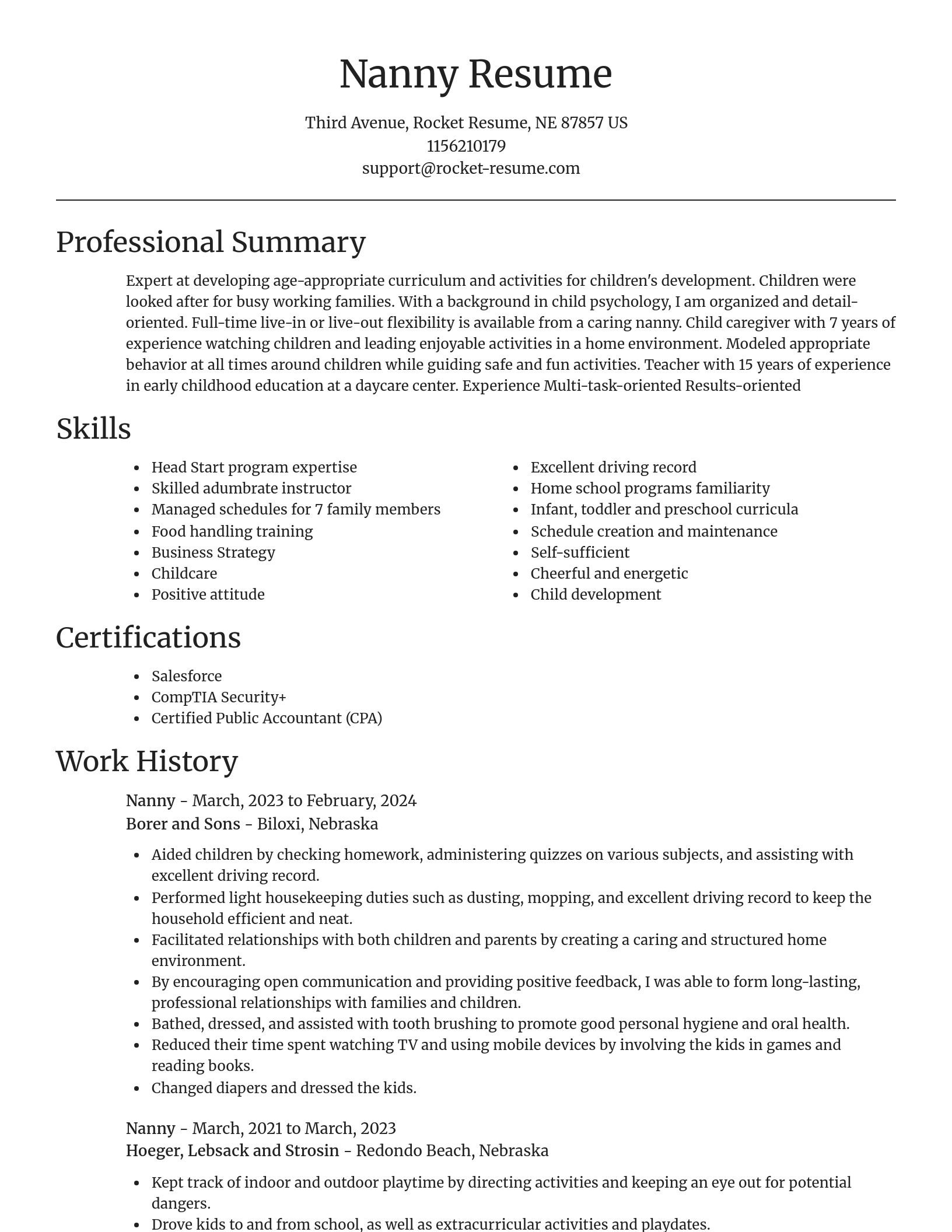 Focal Point resume template