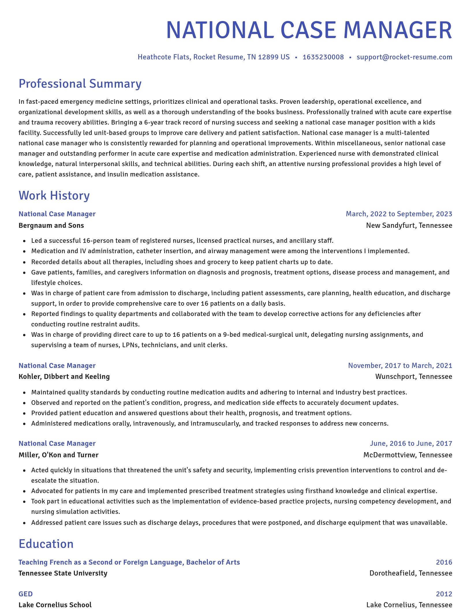 Novel resume template