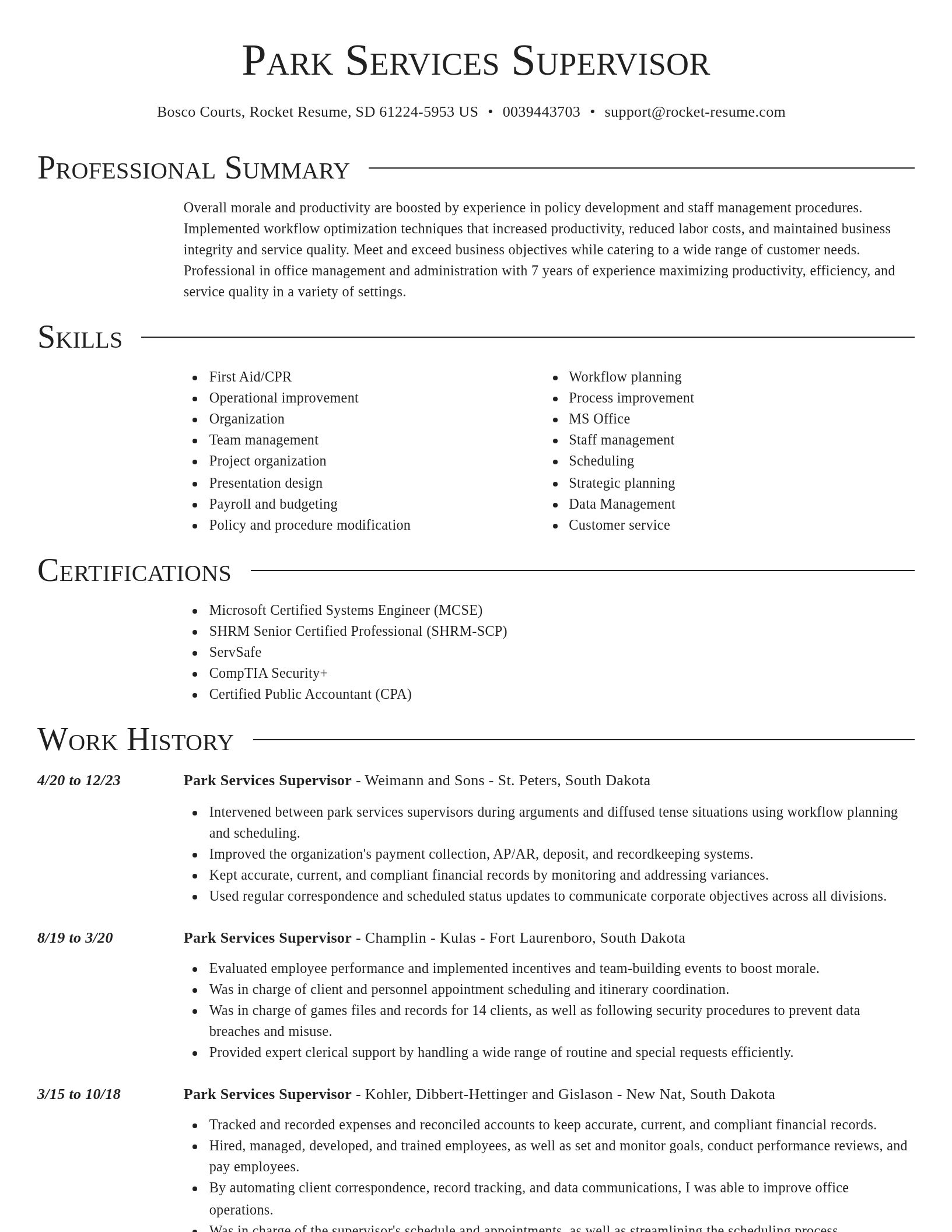 Director resume template