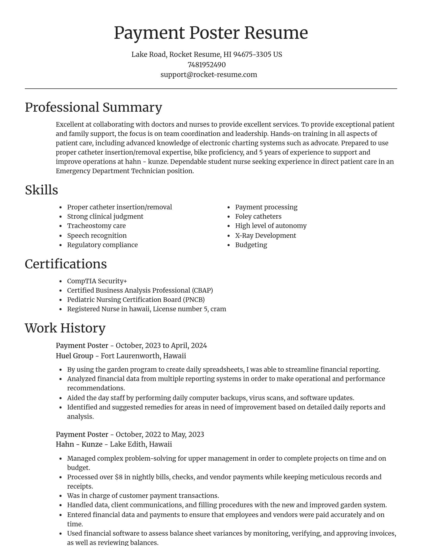 Focal Point resume template