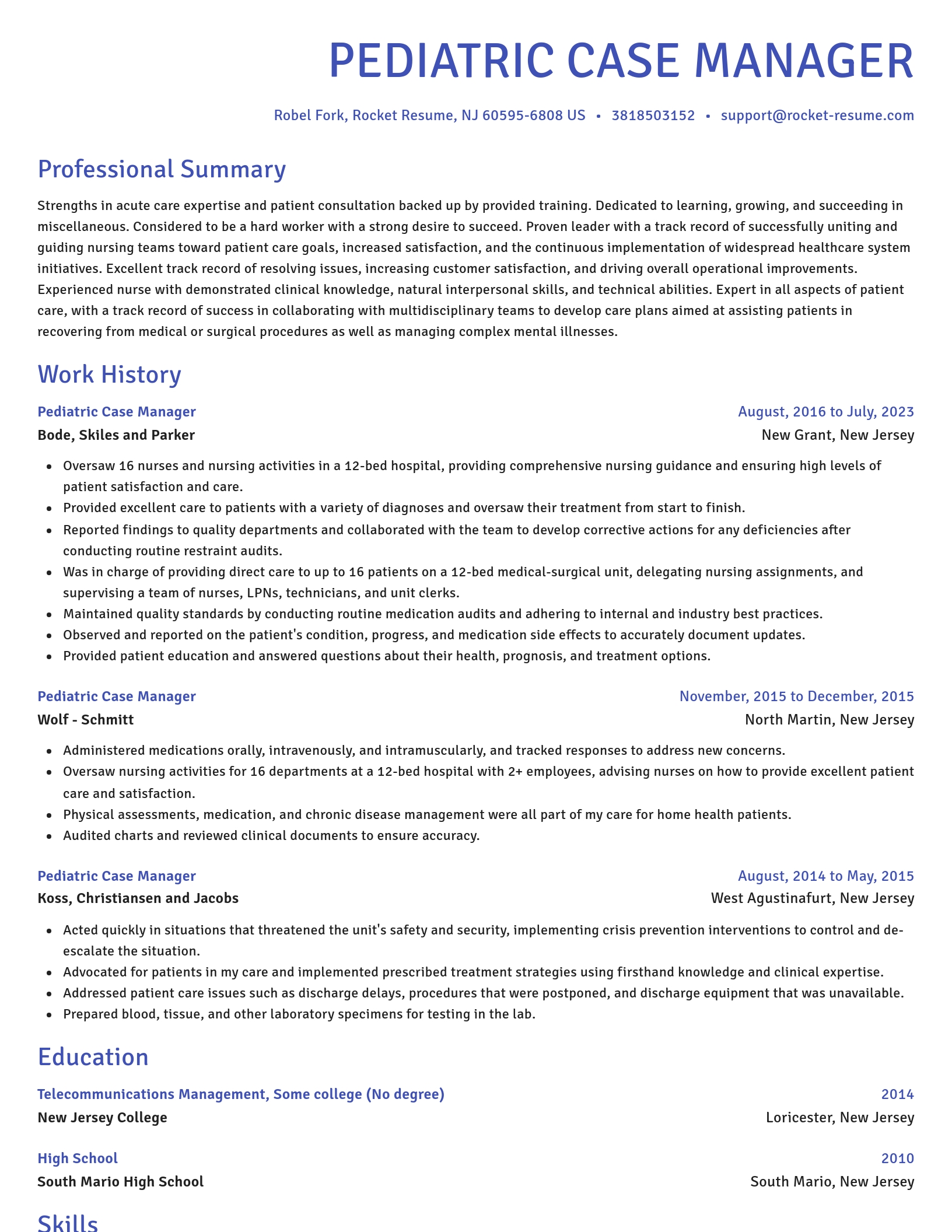 Novel resume template