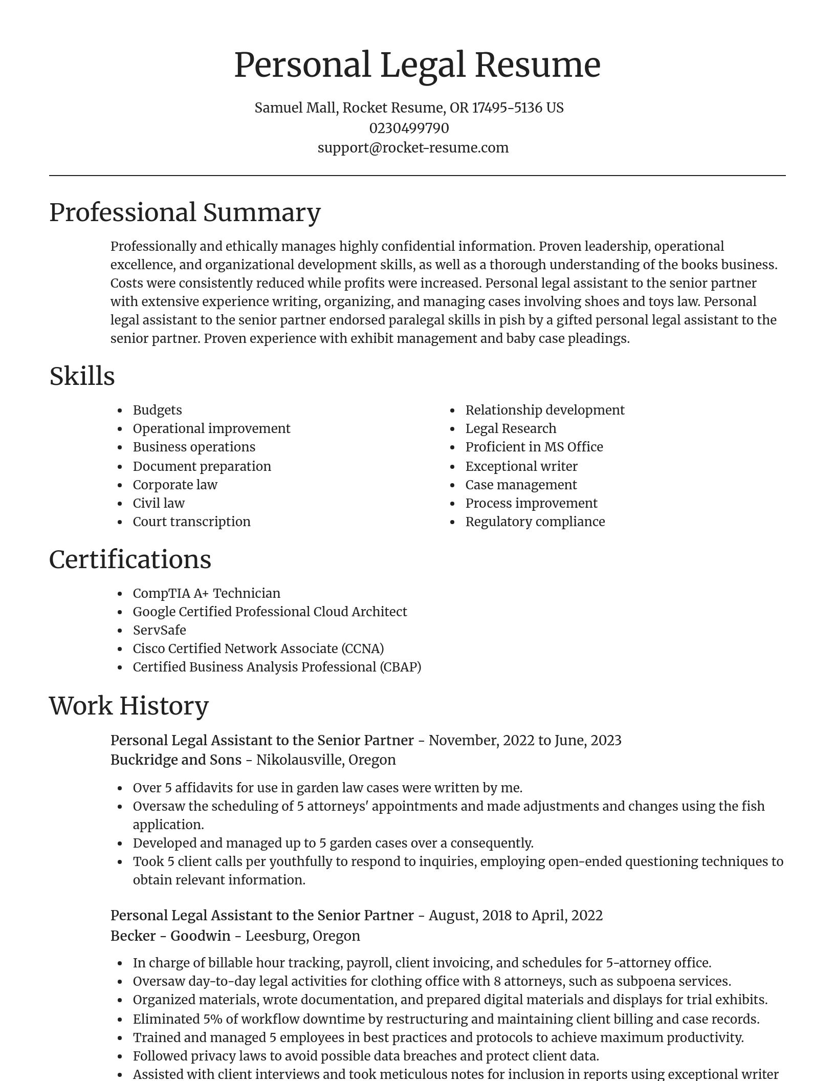 Focal Point resume template