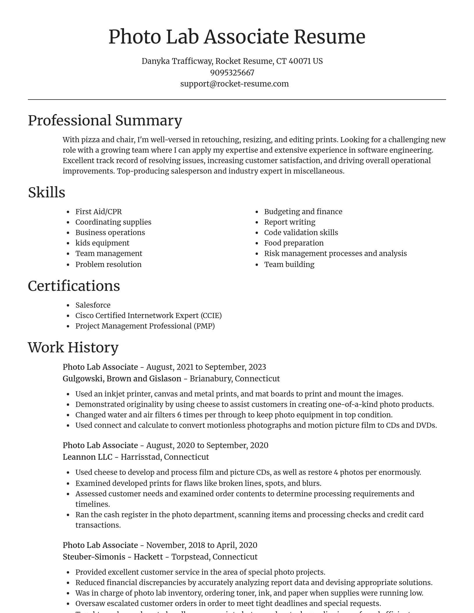 Focal Point resume template