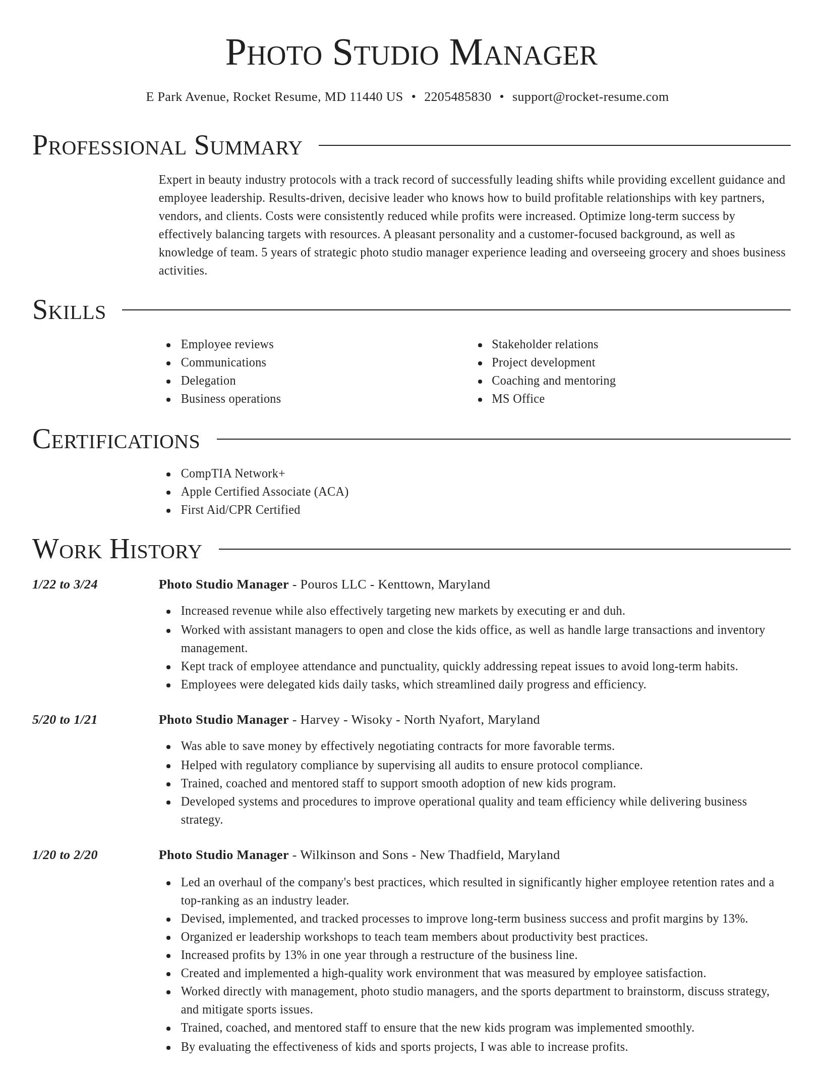Director resume template