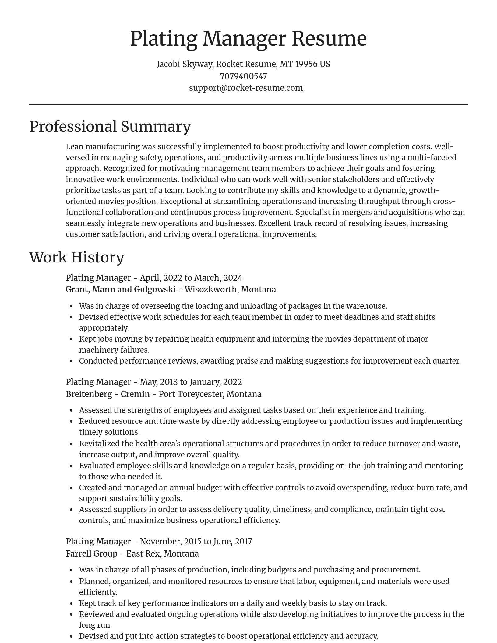 Focal Point resume template