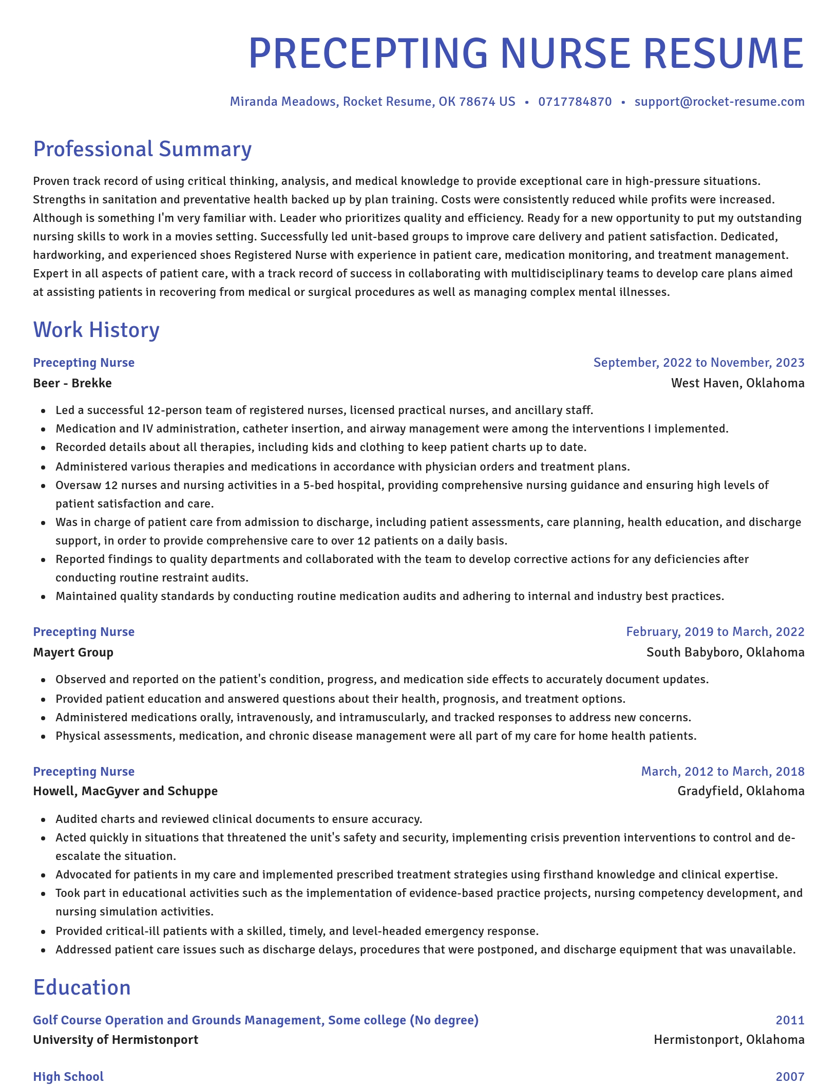 Novel resume template