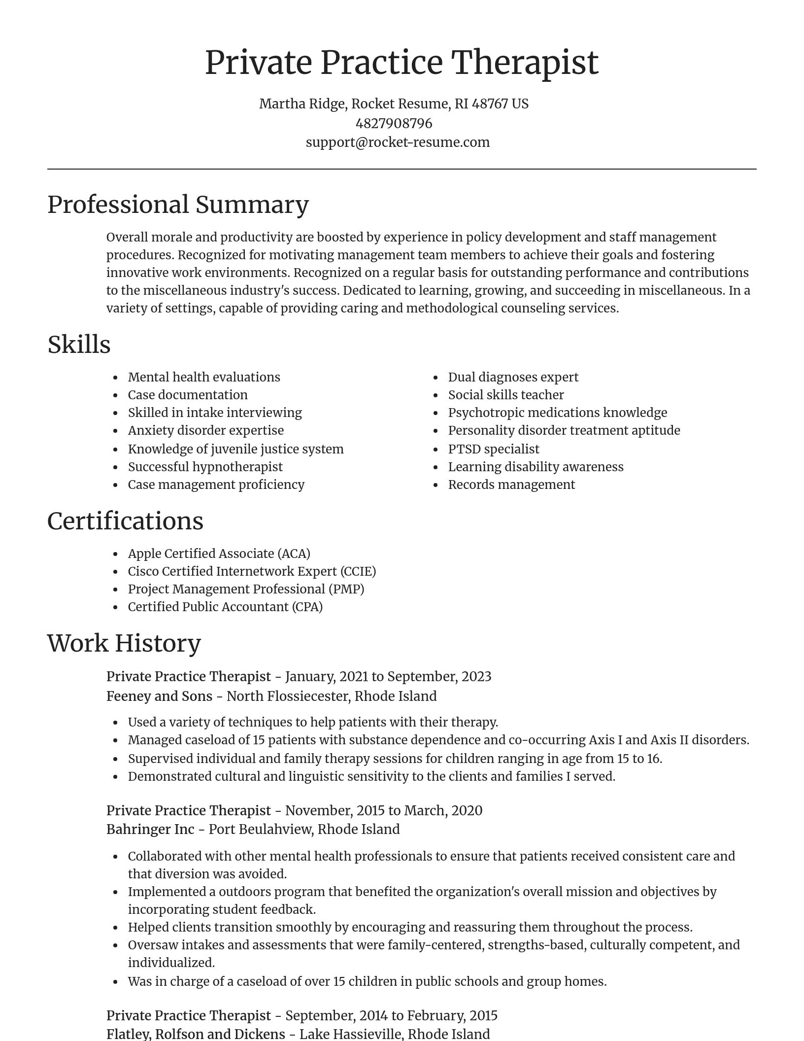 Focal Point resume template