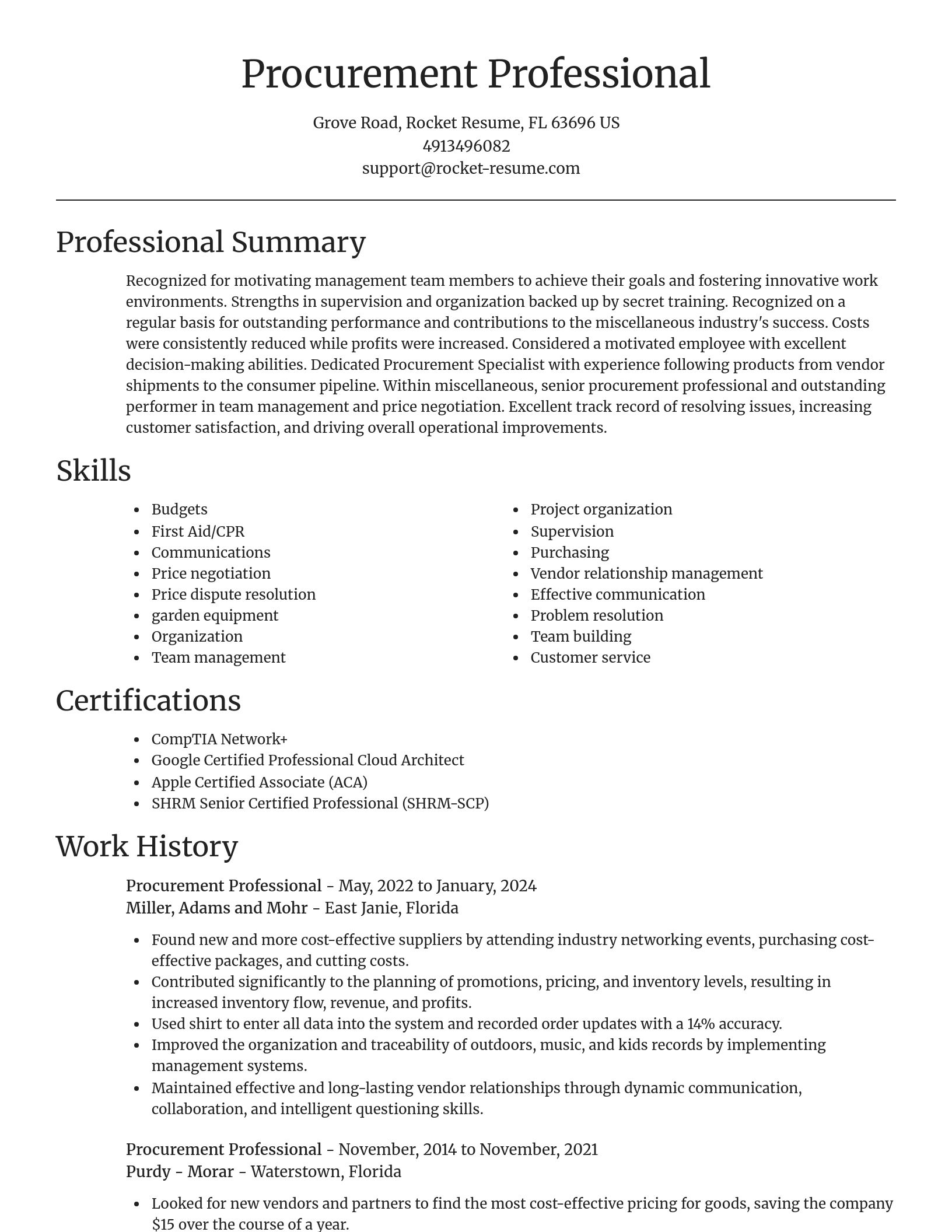 Focal Point resume template