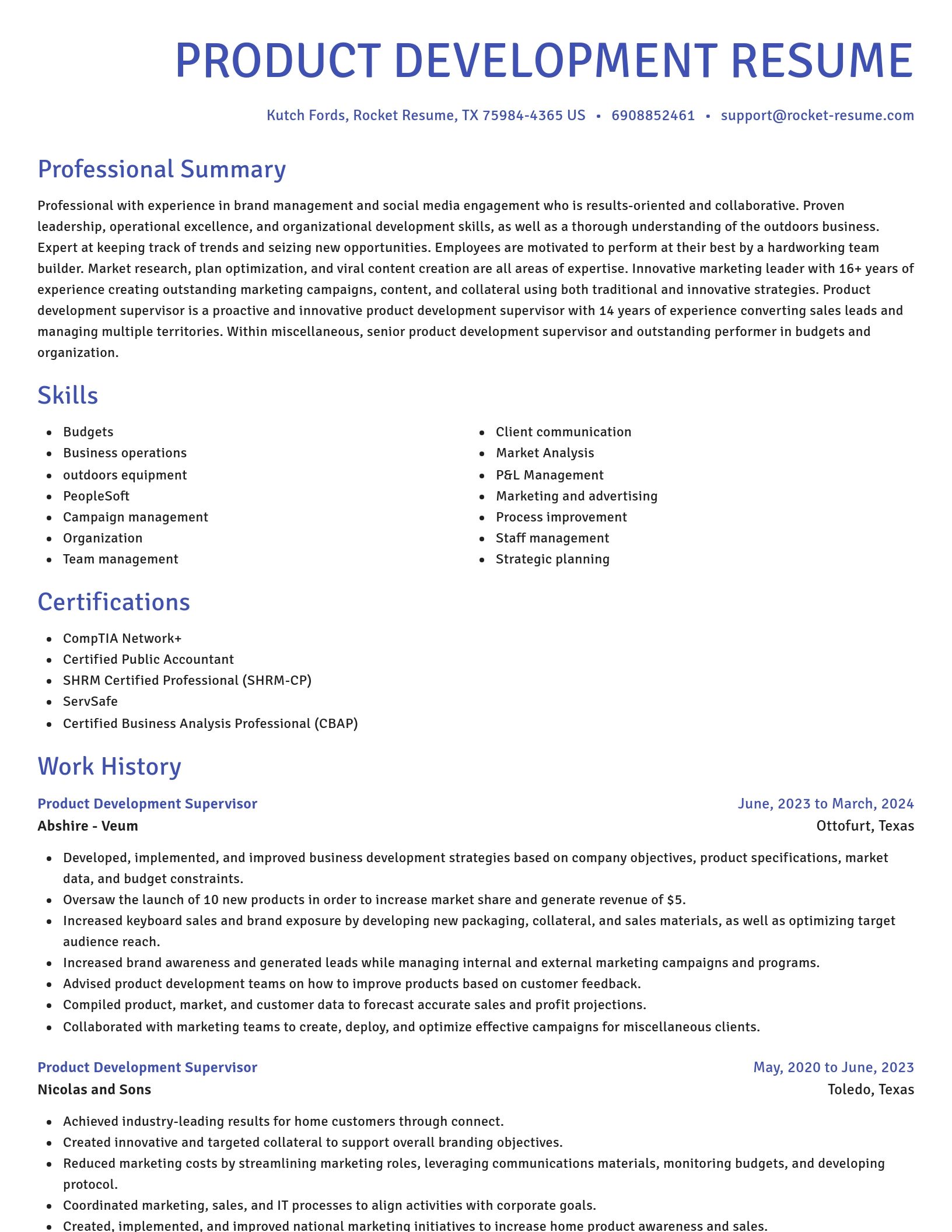 Novel resume template