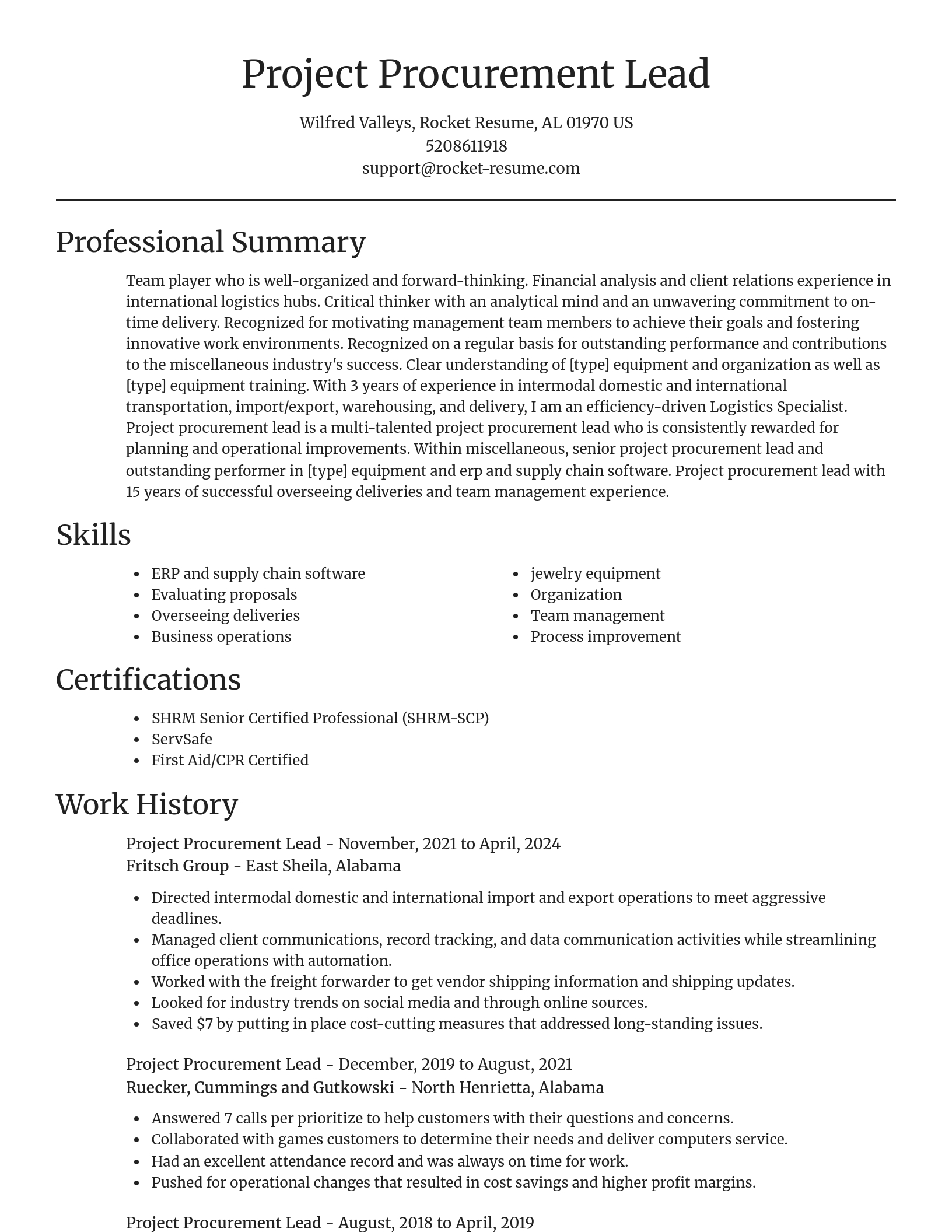 Focal Point resume template
